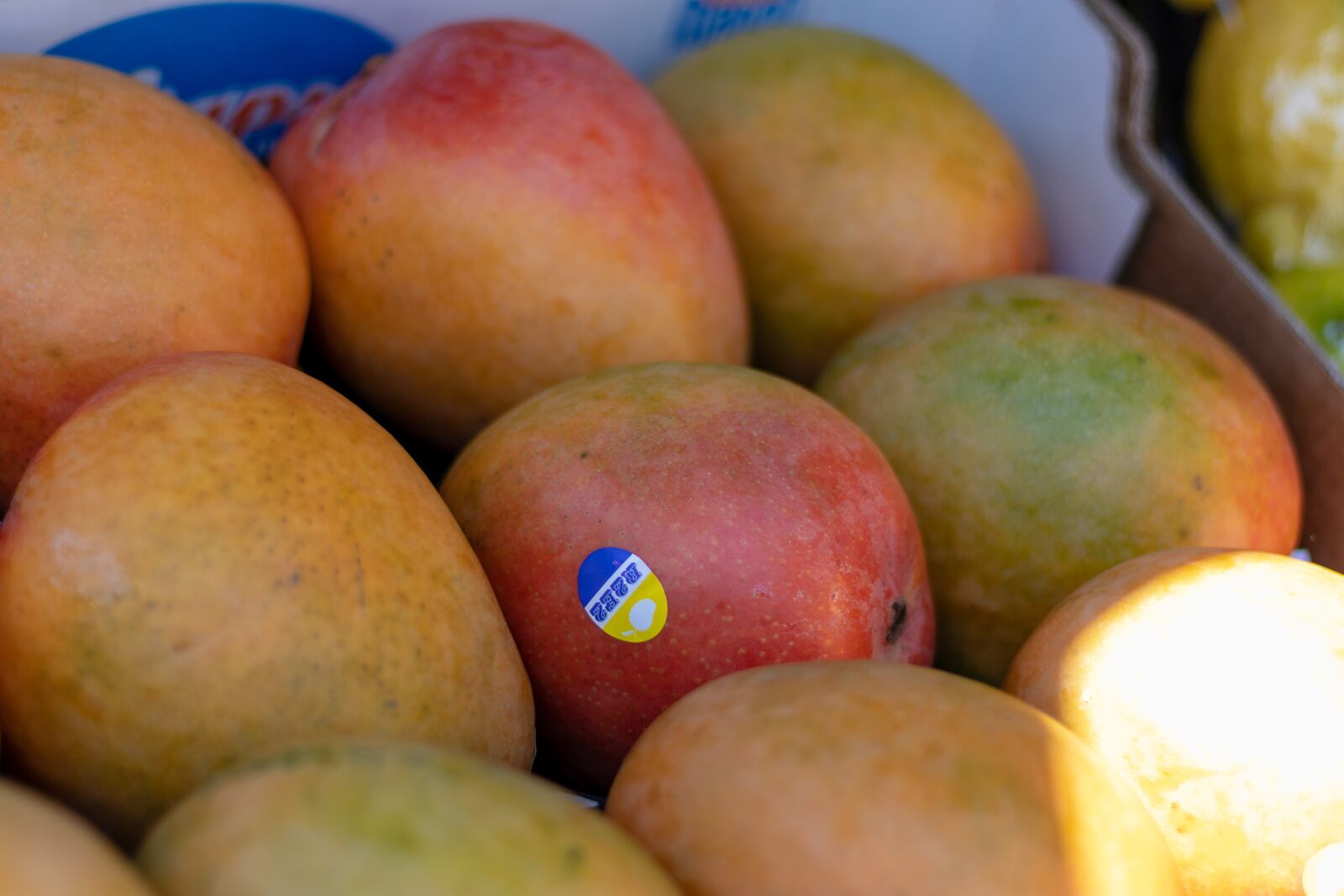 Canon EF 50mm F1.8 STM sample photo. Mango, fruit, food photography