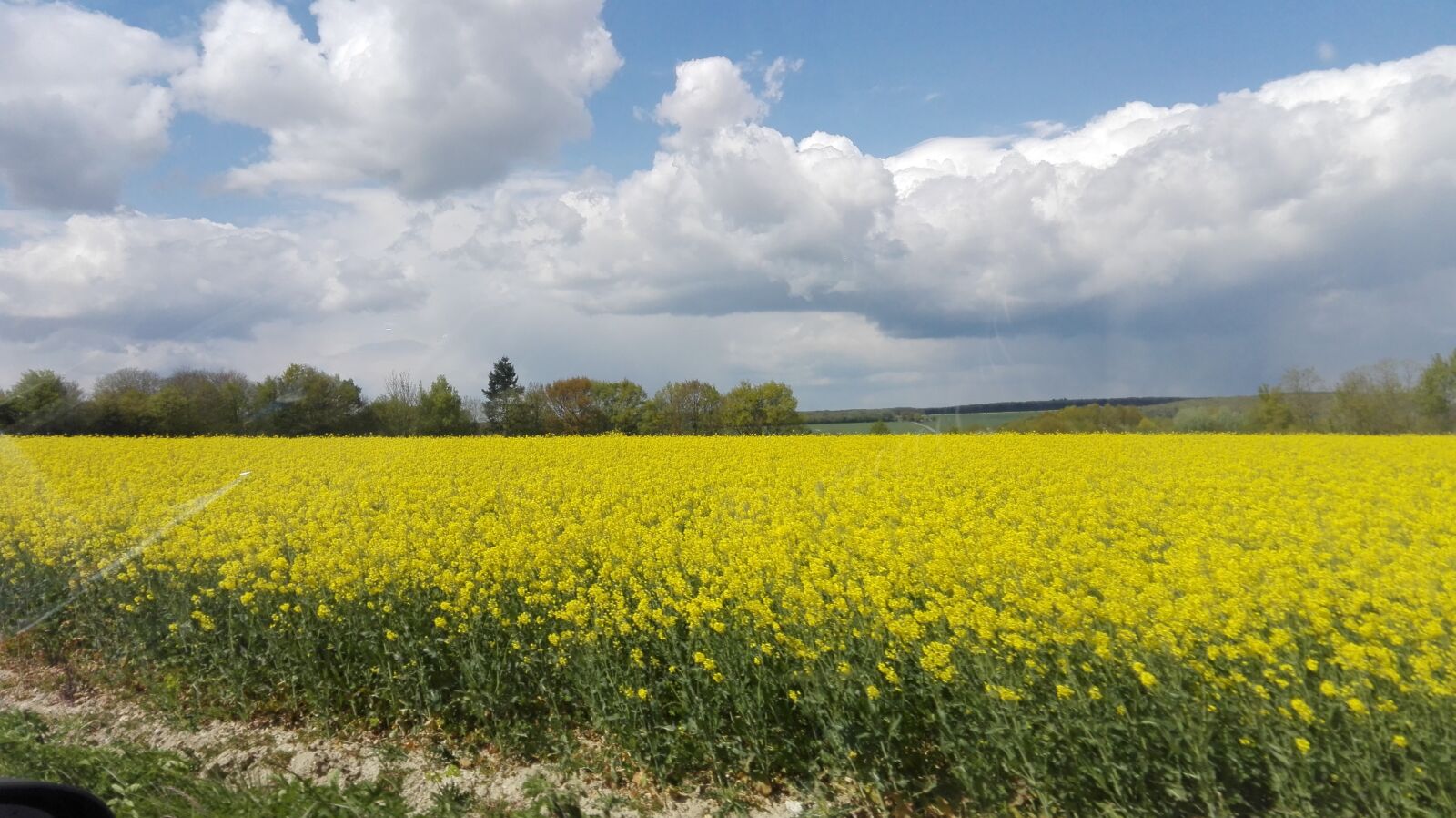 HUAWEI P8 Lite sample photo. Un, champ, nottonville photography