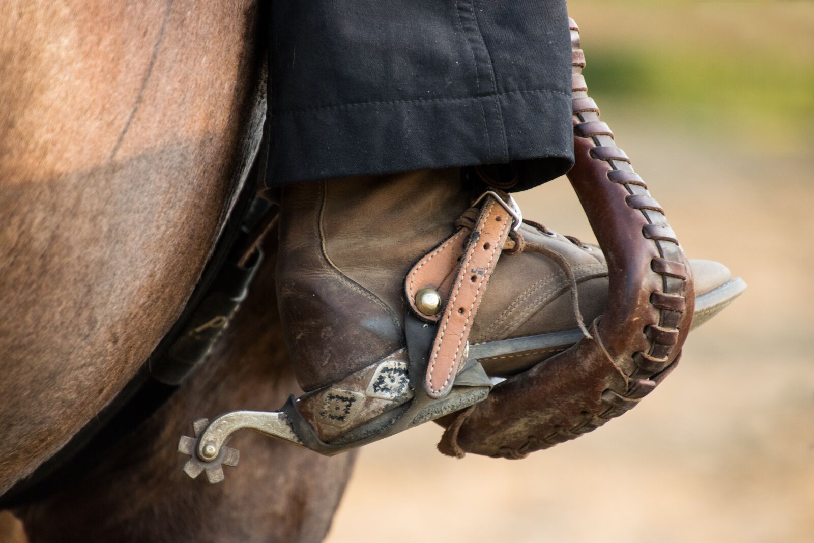 Nikon D3300 sample photo. Horse, ride, animal photography