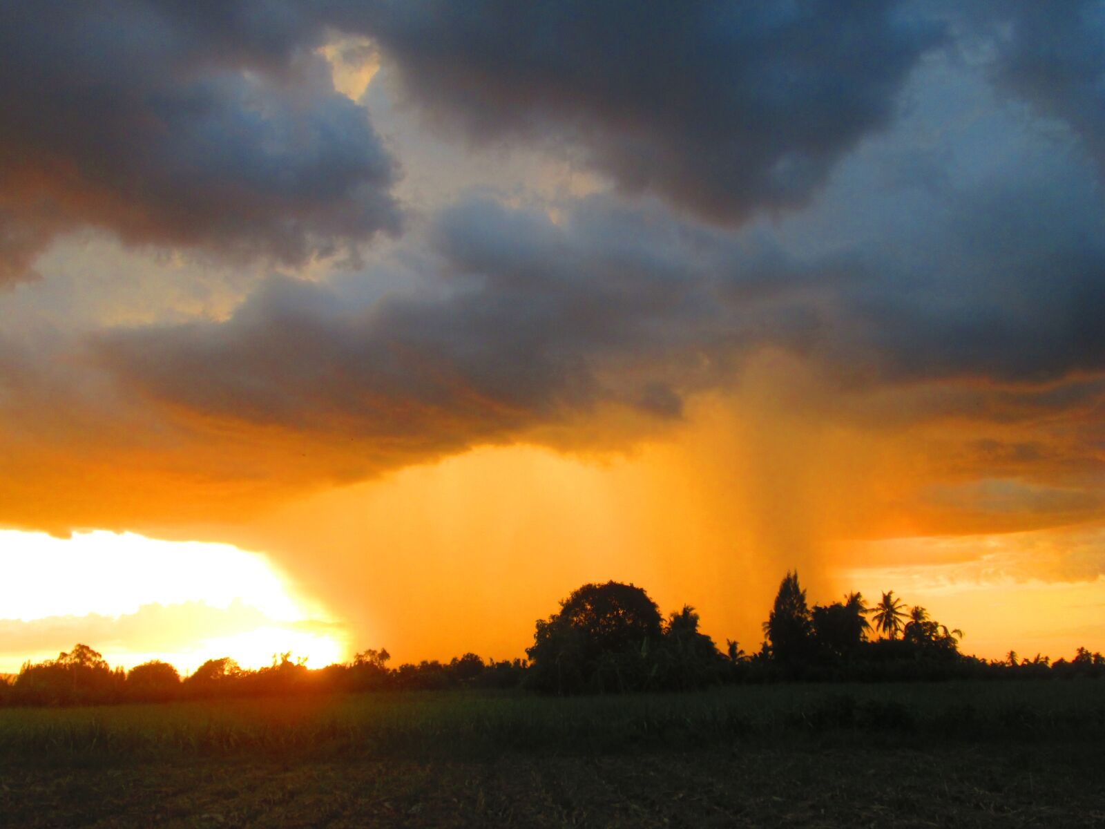 Canon PowerShot A2300 sample photo. Evening sun, rain cloud photography