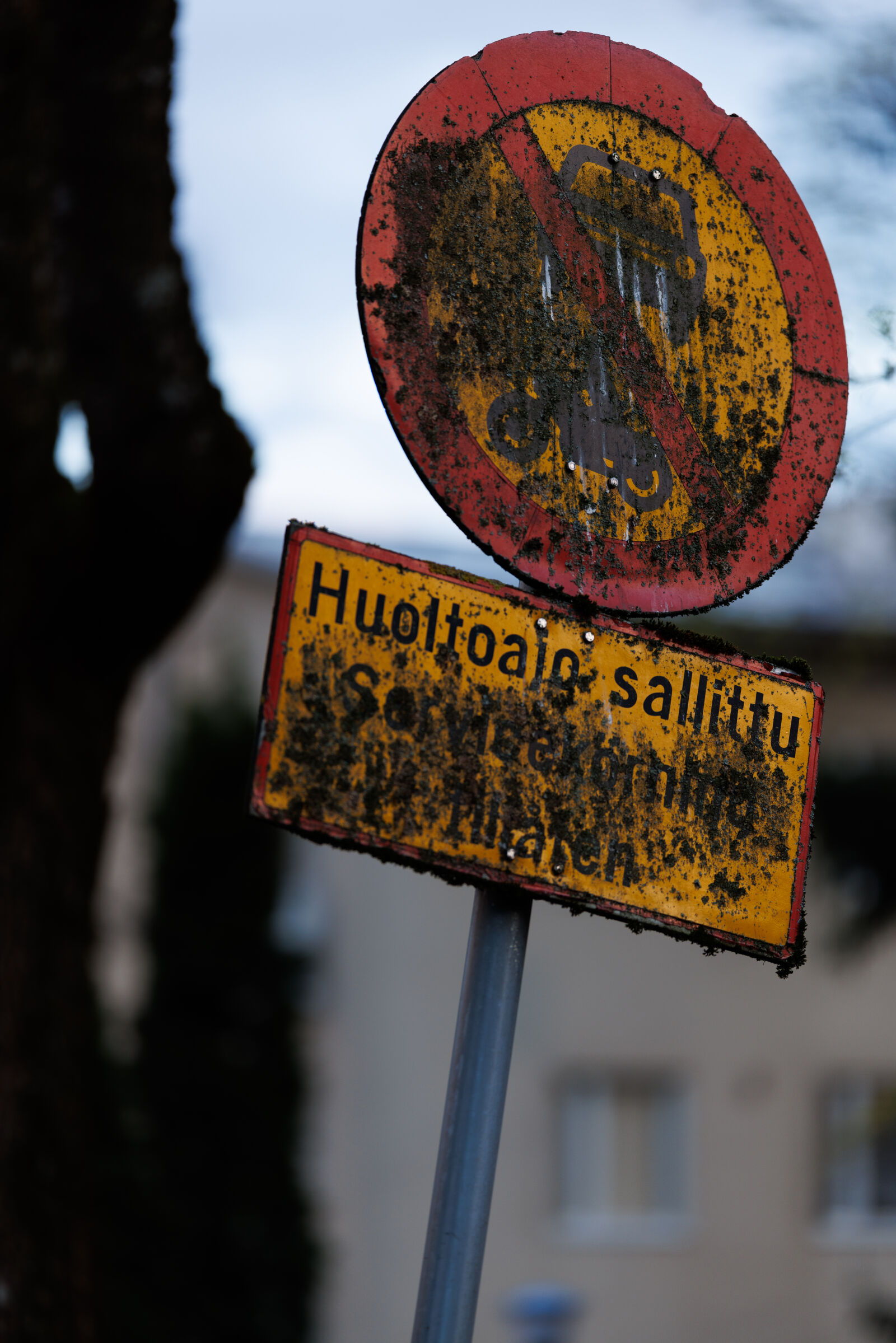 Canon RF 135mm F1.8 L IS USM sample photo. Dirty street sign photography