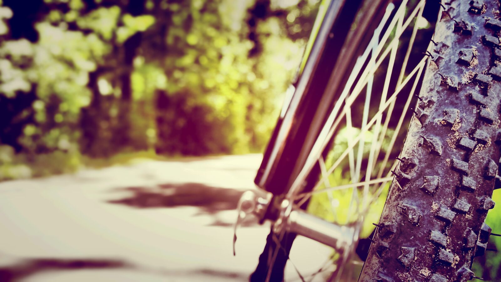 Olympus PEN E-PM1 sample photo. Cycling, round, nature photography