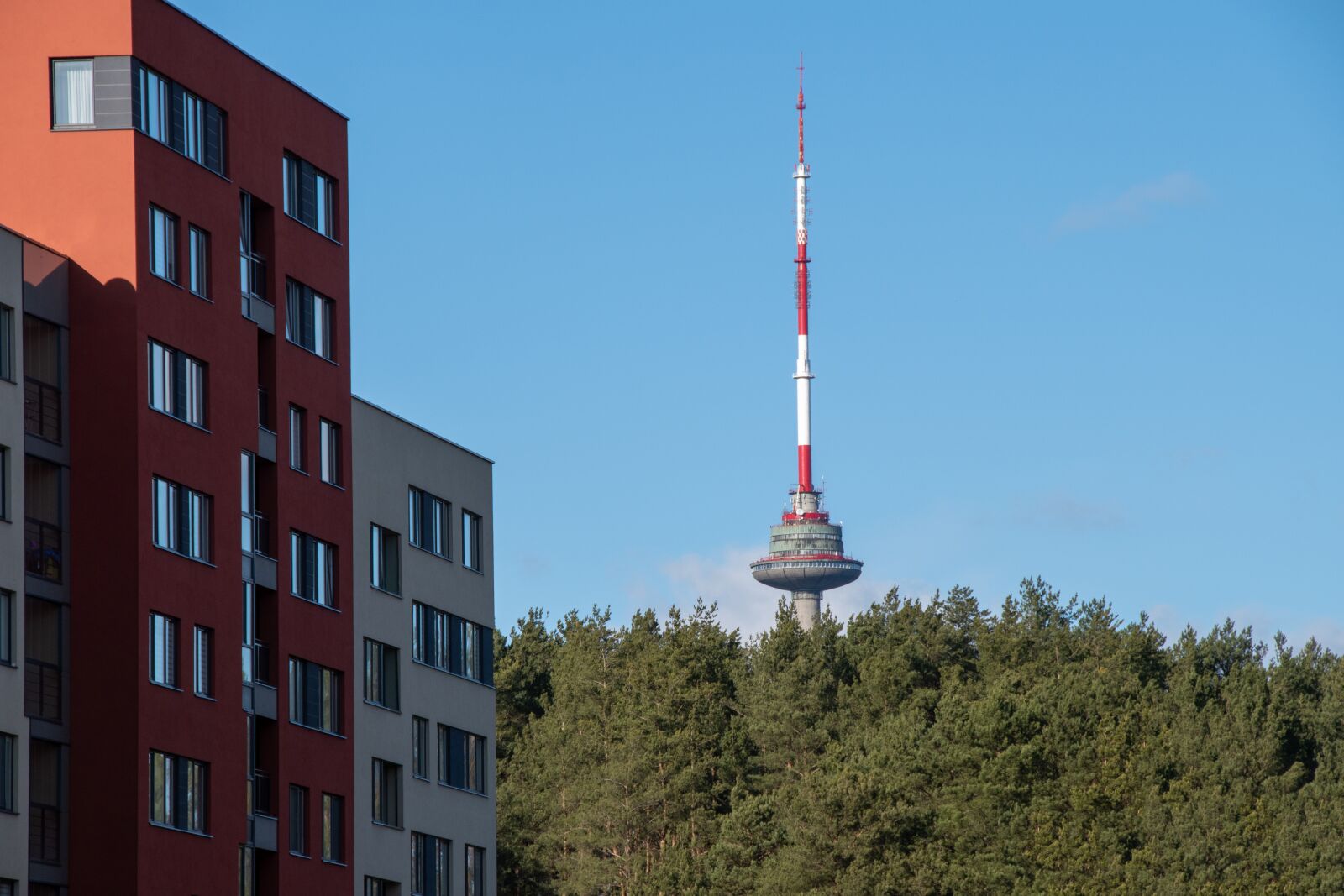 Nikon D5600 sample photo. Tv tower, forest, trees photography