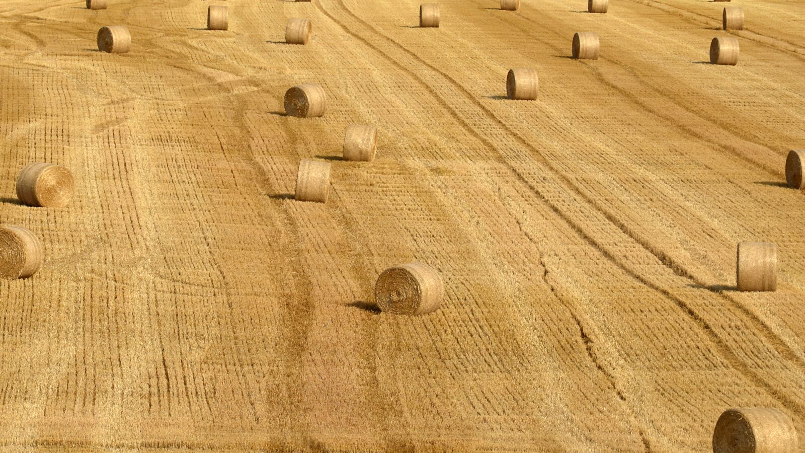 Nikon D5100 sample photo. Harvest, straw, field photography