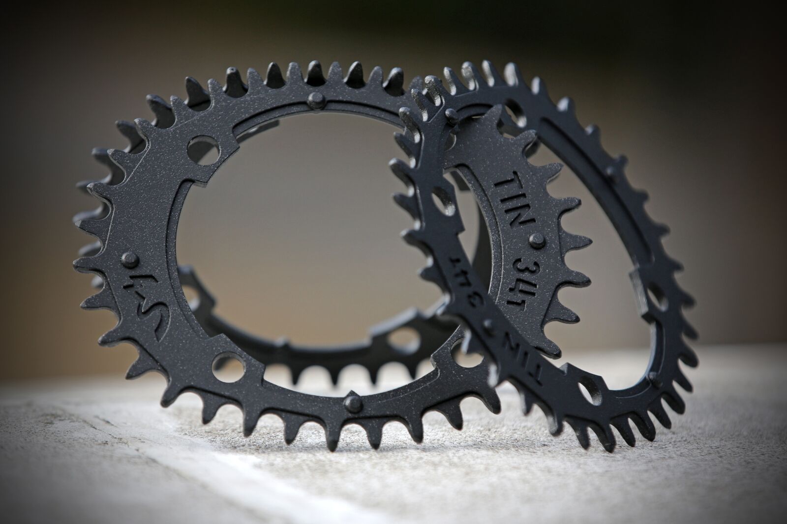 Canon EOS 5D Mark III sample photo. Oval chainring, chainring, full photography