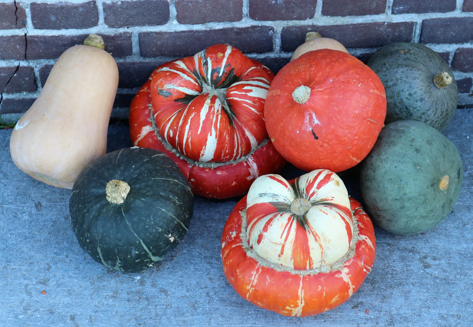 Canon EOS 80D sample photo. Pumpkin, deco, autumn photography