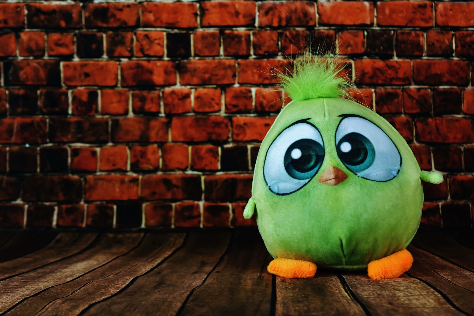 Nikon D7200 sample photo. Soft toy, bird, toys photography