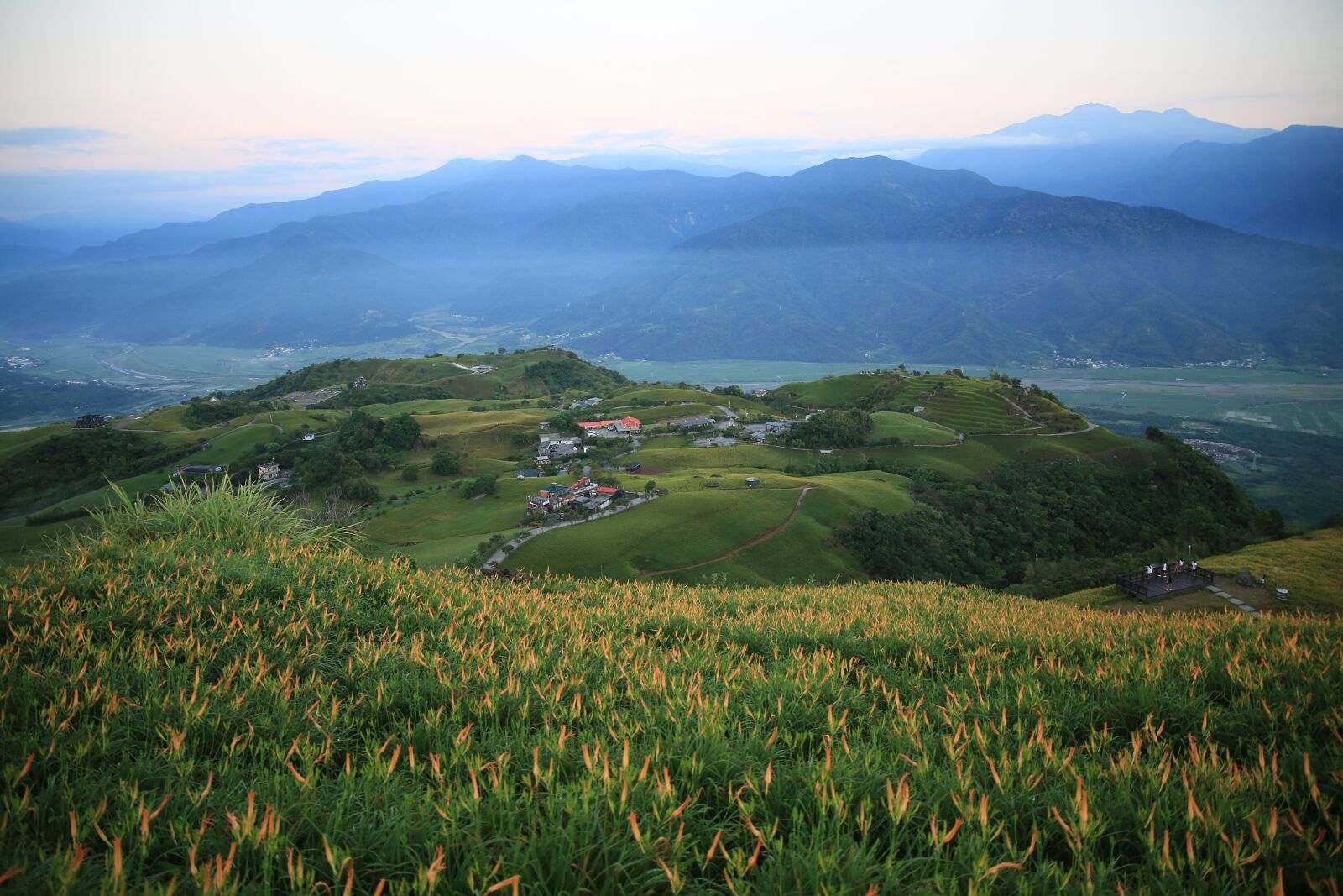Canon EF 24-105mm F3.5-5.6 IS STM sample photo. Taiwan, little switzerland, flower photography