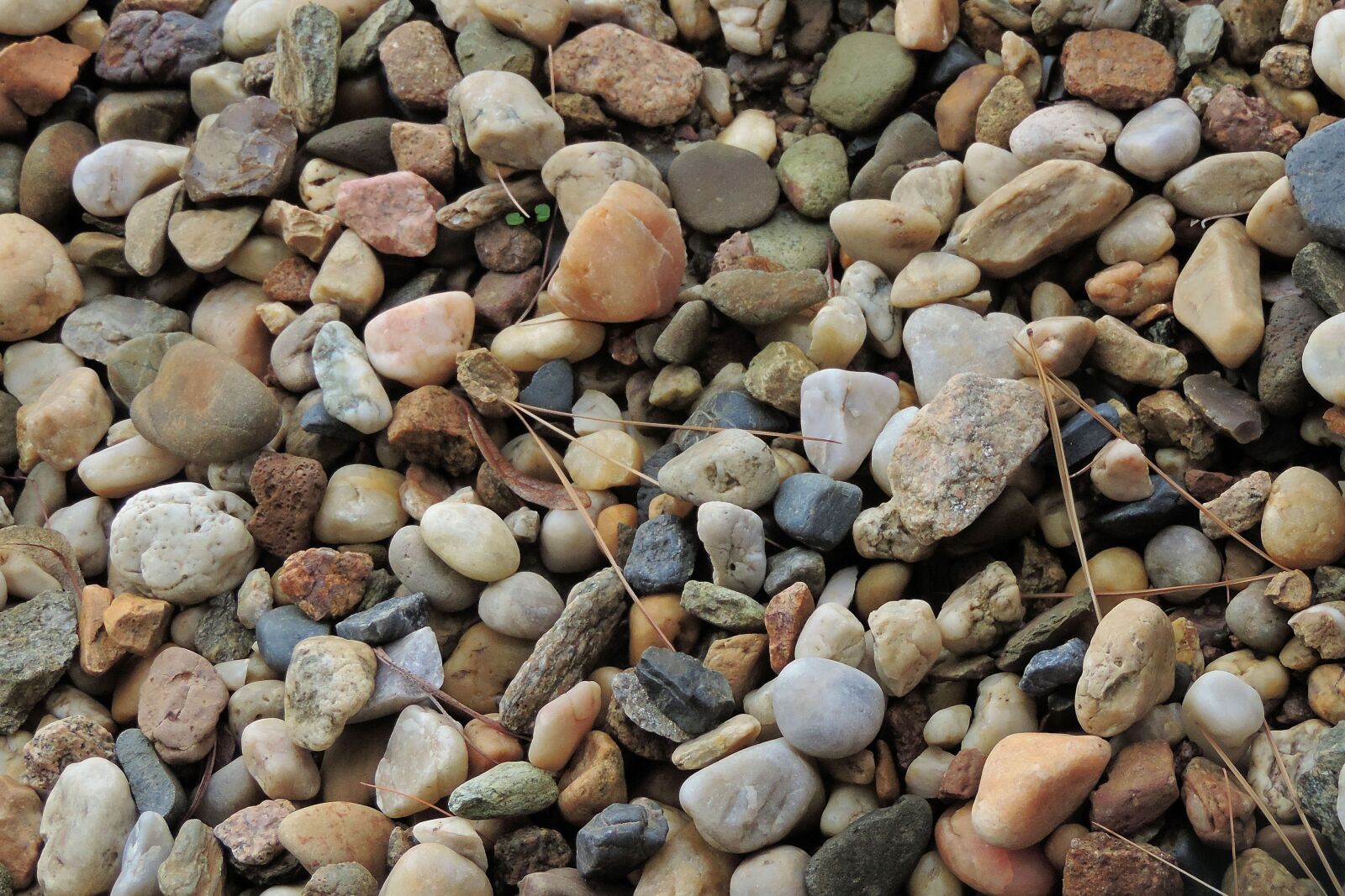 Nikon Coolpix P520 sample photo. Pebble, pebbles, stones photography
