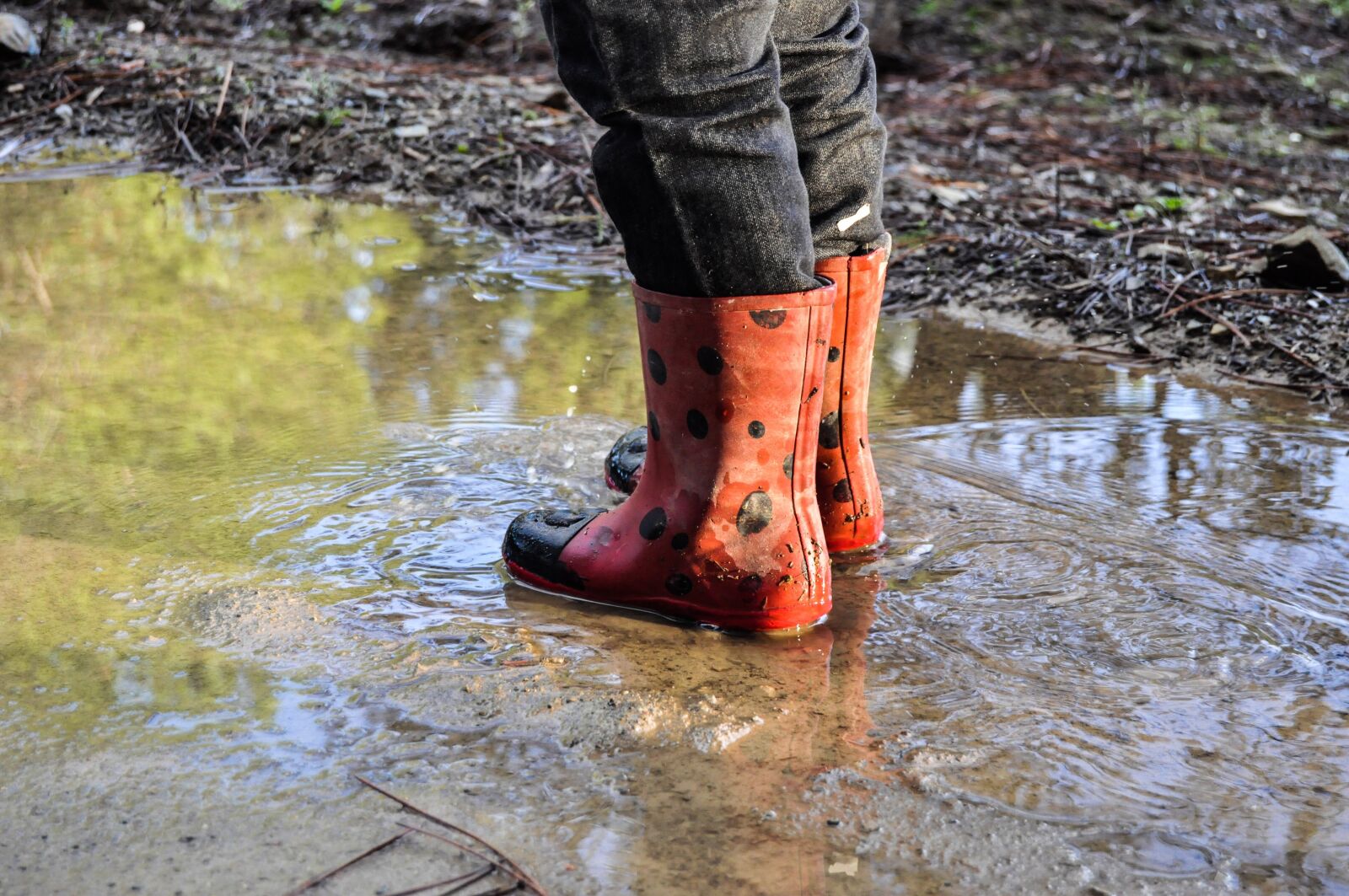 Nikon D90 sample photo. Rain boots, boots, shoes photography