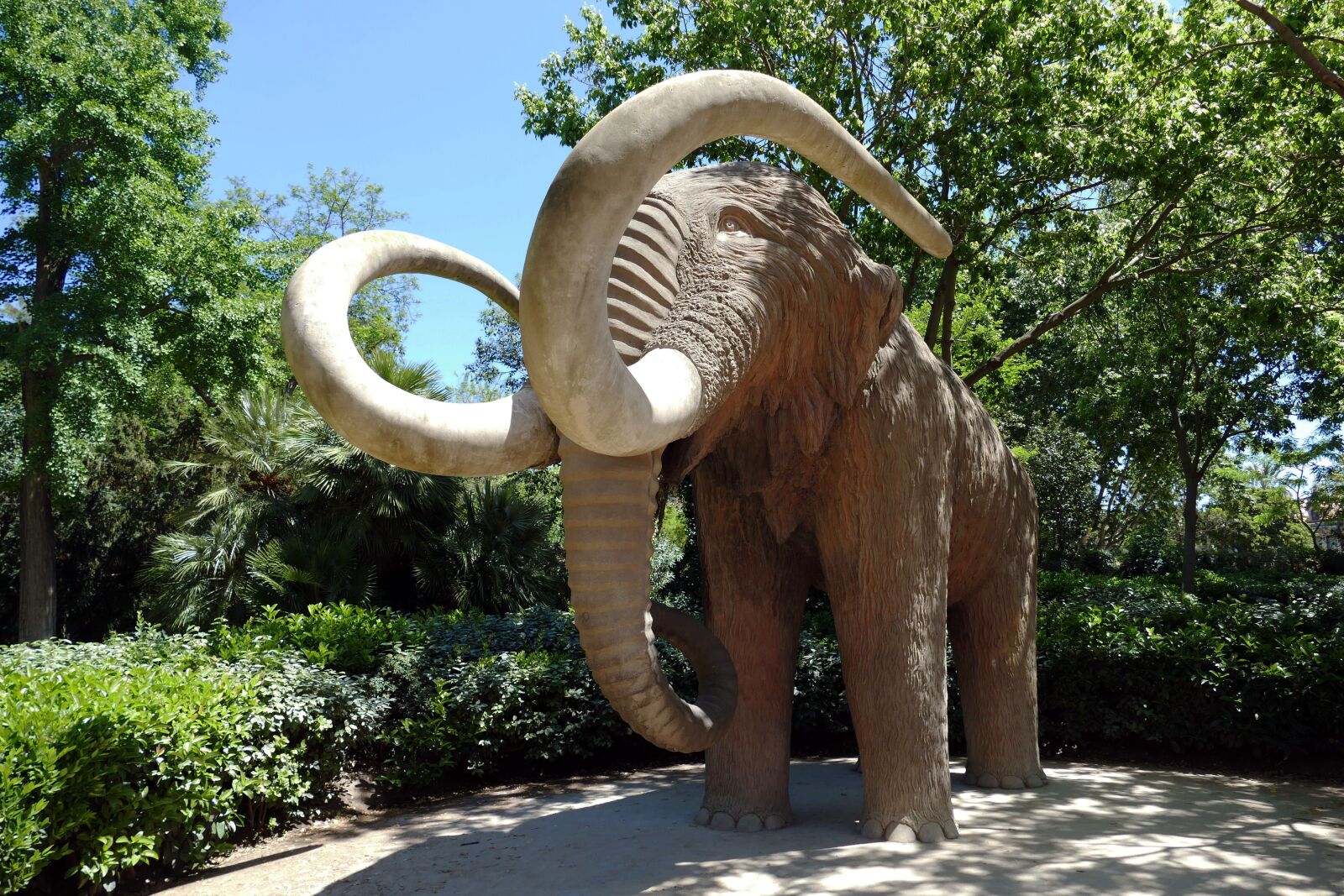 Panasonic Lumix DMC-FZ1000 sample photo. Mammoth, animal, prehistoric photography