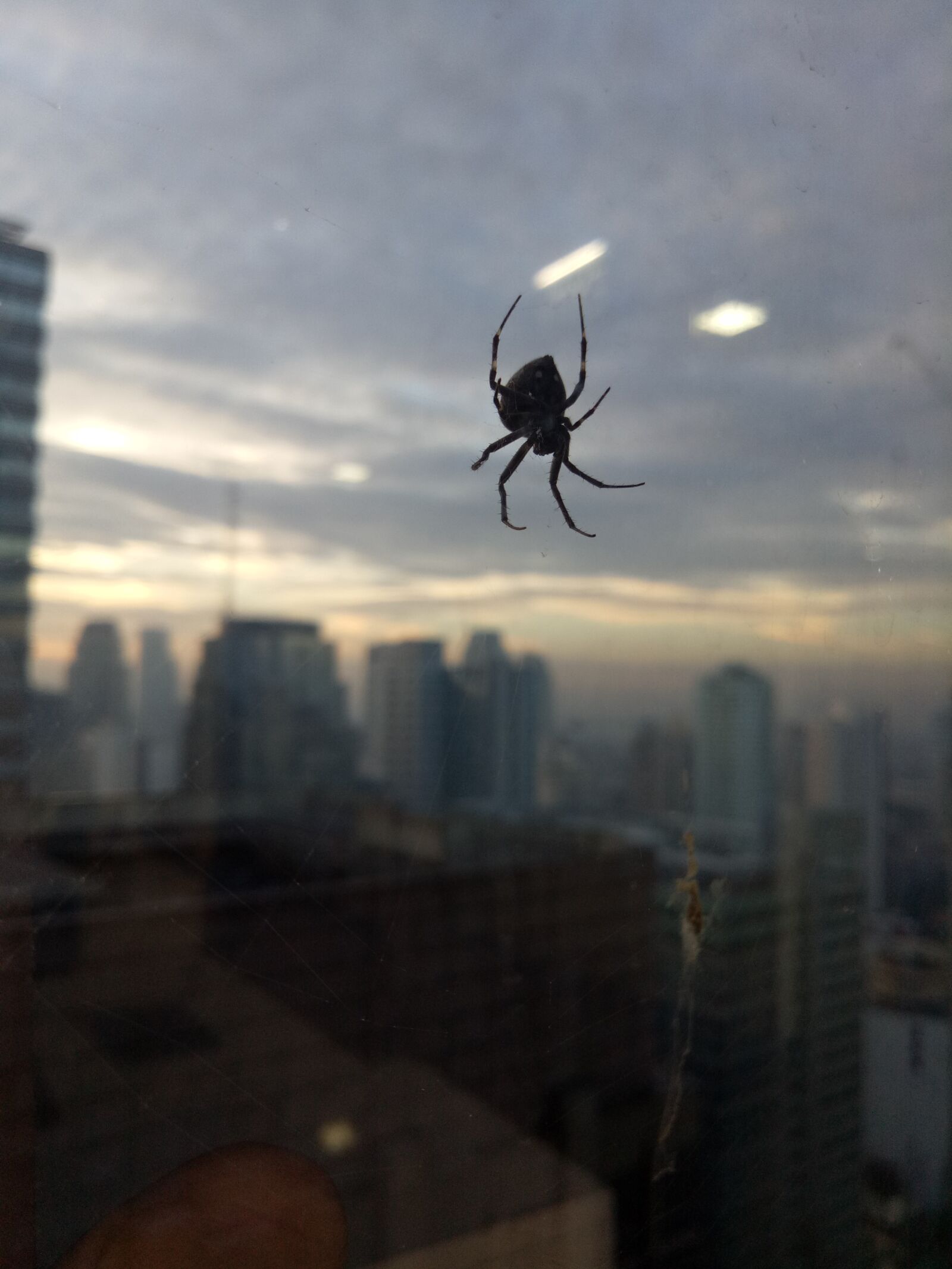 OPPO A1601 sample photo