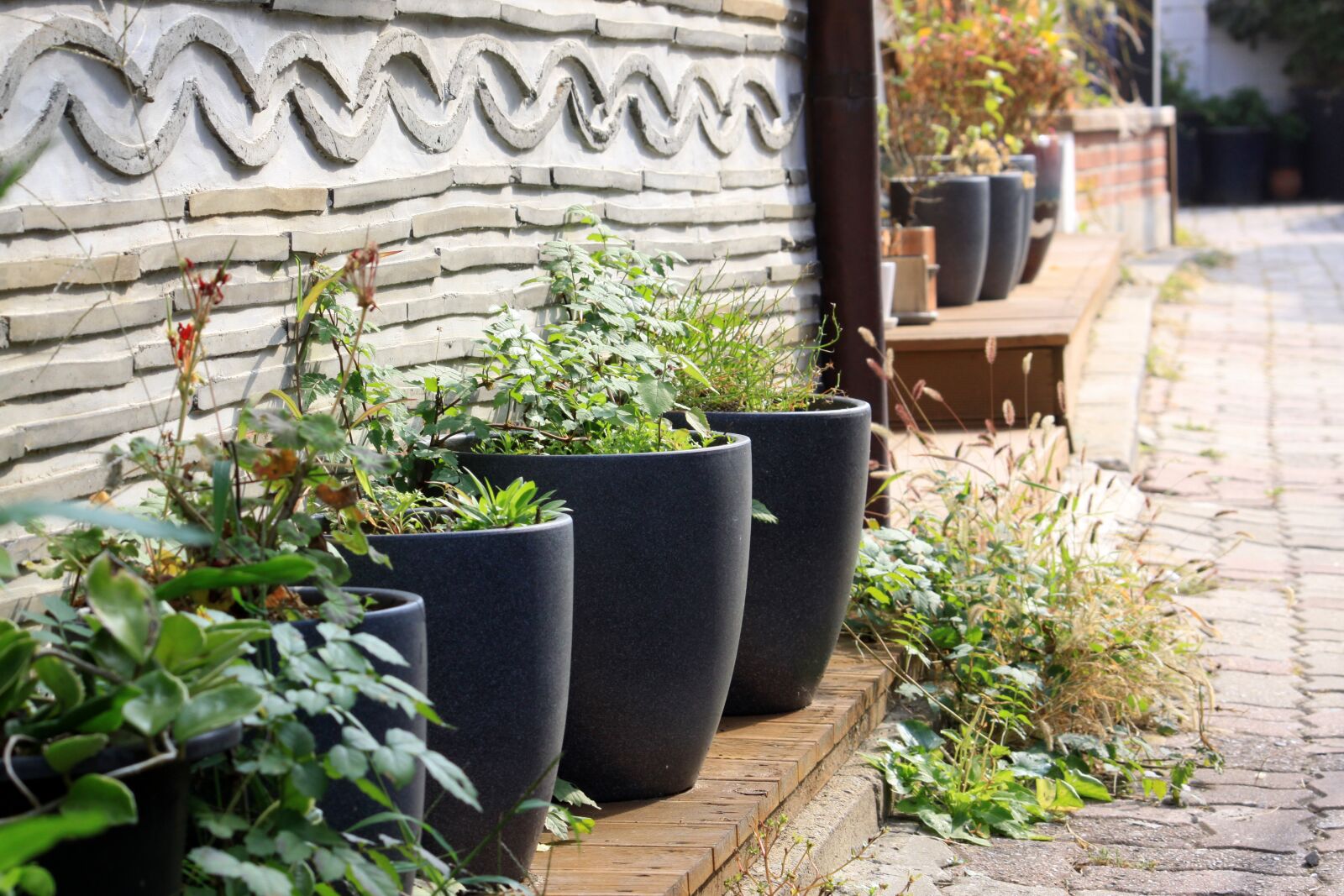 Canon EOS 50D sample photo. Hanok, garden, jar photography