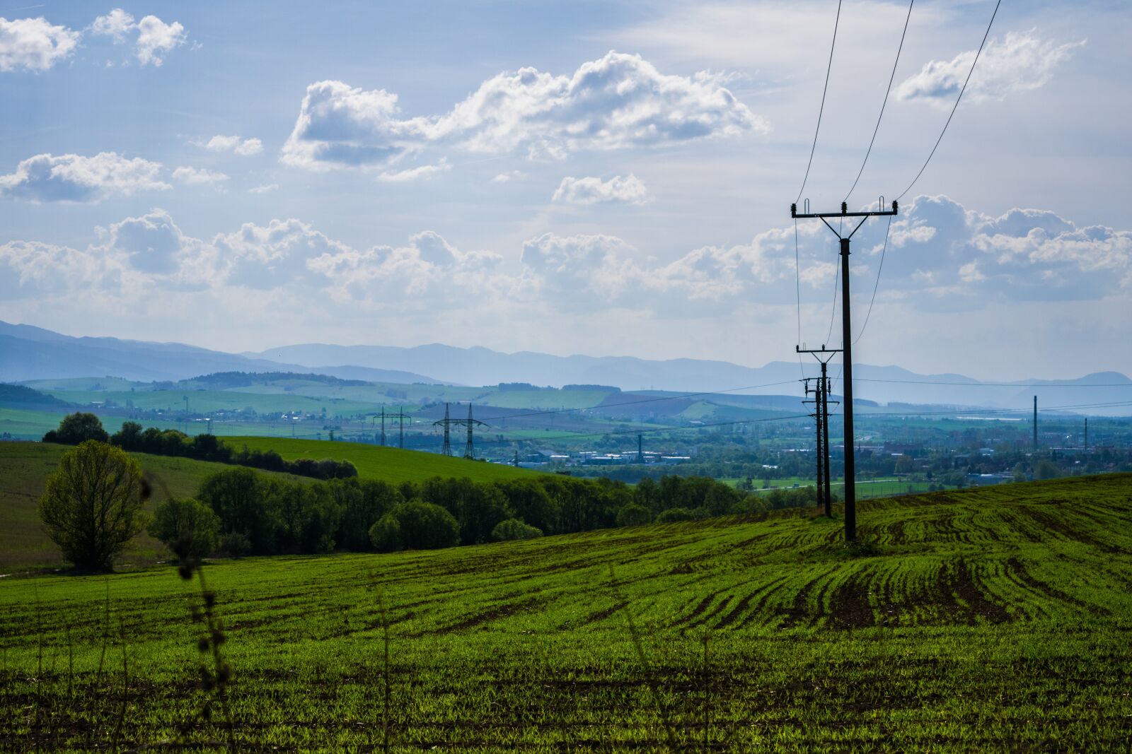 Nikon D3300 sample photo. Columns, meadow, view photography