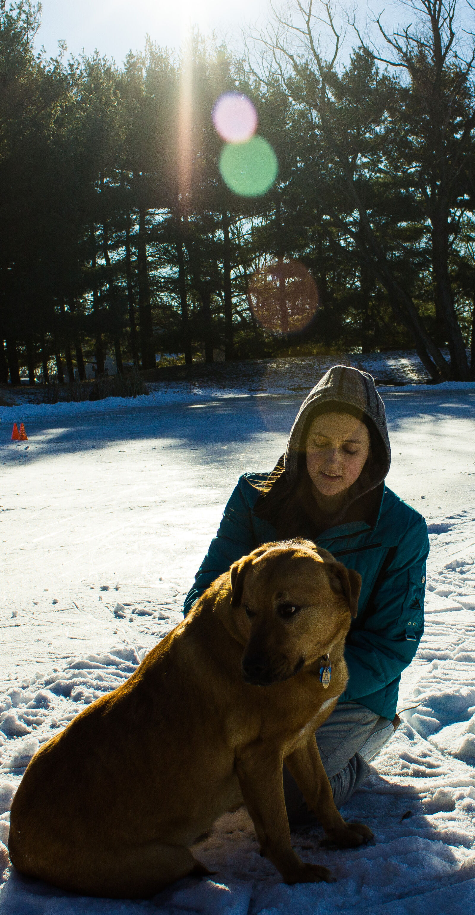 Canon EOS 1200D (EOS Rebel T5 / EOS Kiss X70 / EOS Hi) sample photo. Canon, cold, dog, hockey photography
