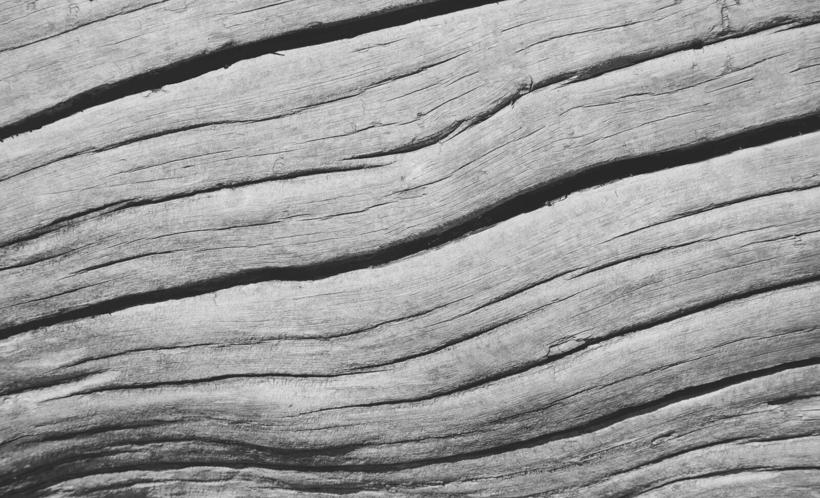 Nikon 1 Nikkor VR 30-110mm F3.8-5.6 sample photo. Wood, texture, grain photography