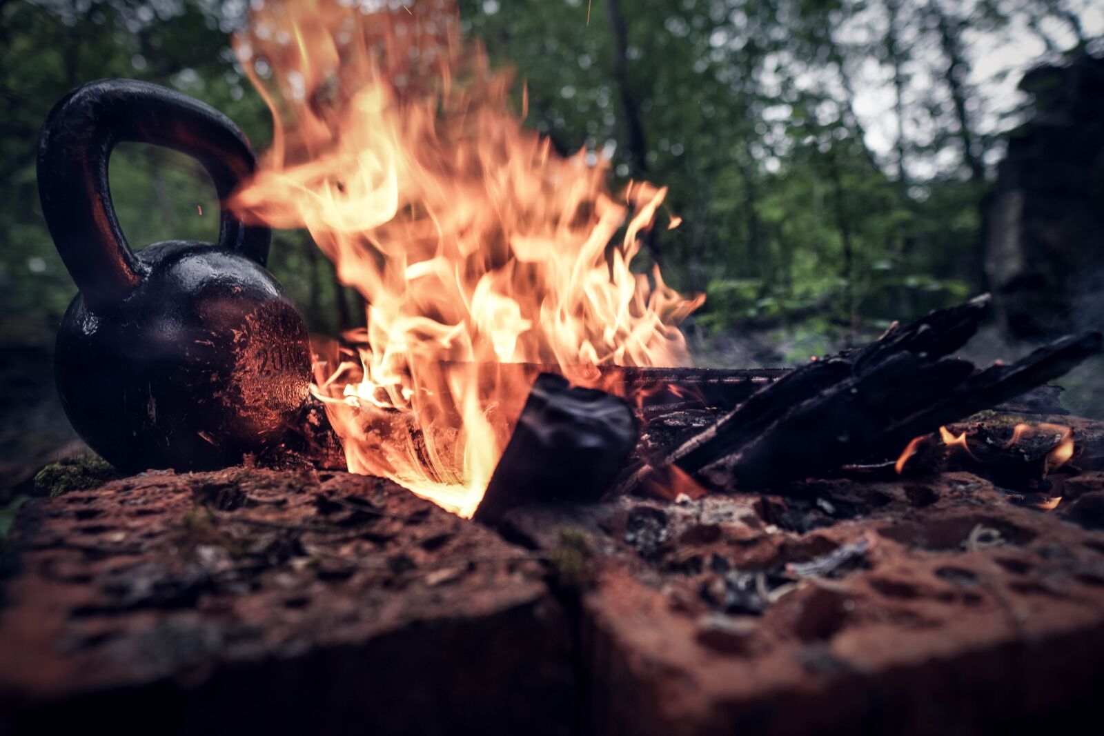 Sony a6400 + Sigma 16mm F1.4 DC DN | C sample photo. Knife, nature, green photography