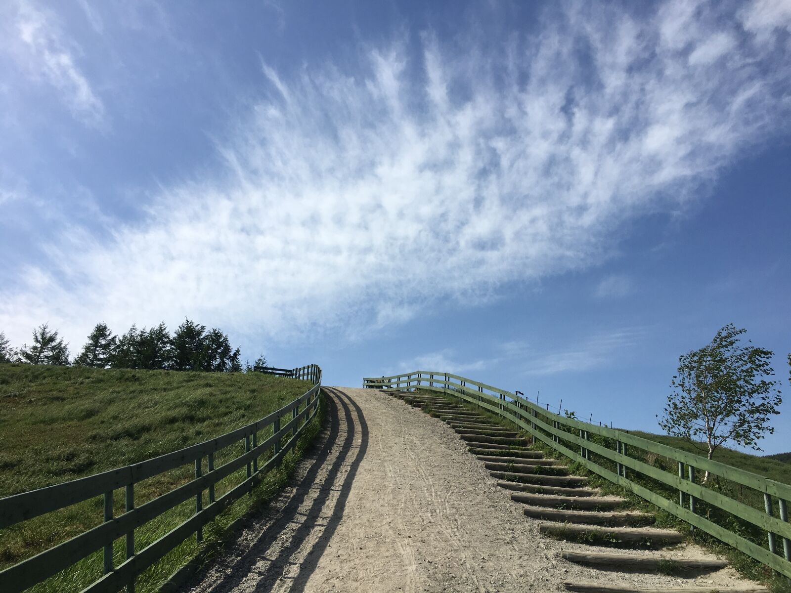 Apple iPhone 6s sample photo. Ranch, hill, nature photography