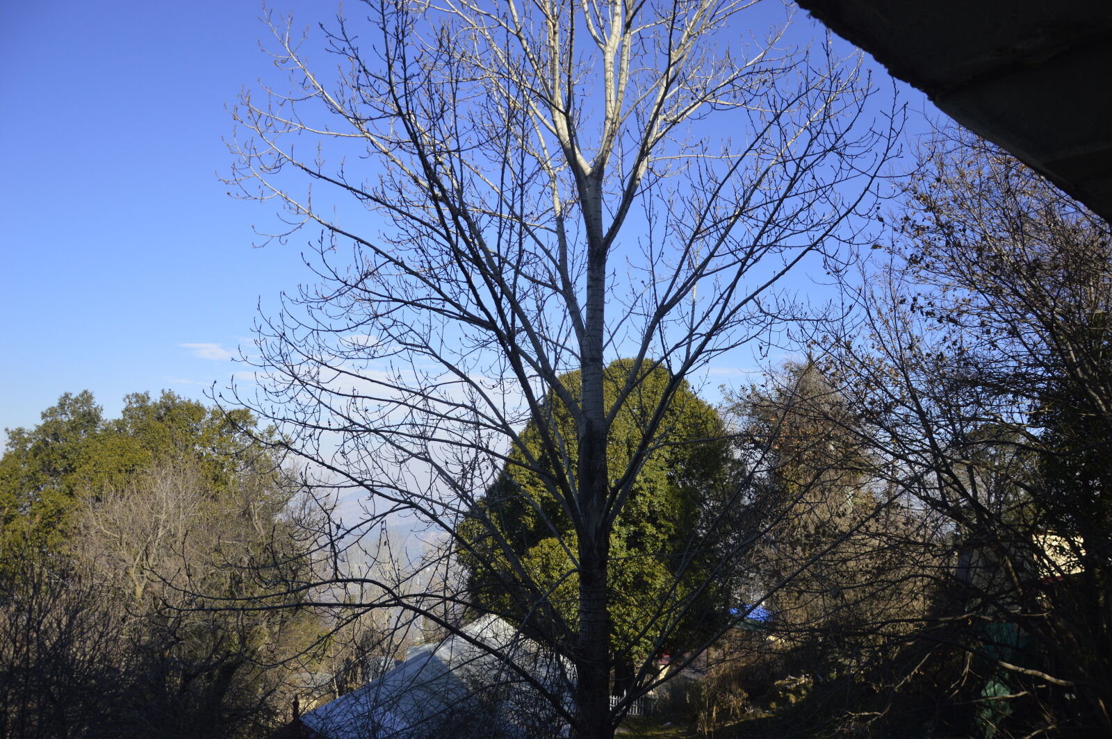 Nikon D3200 sample photo