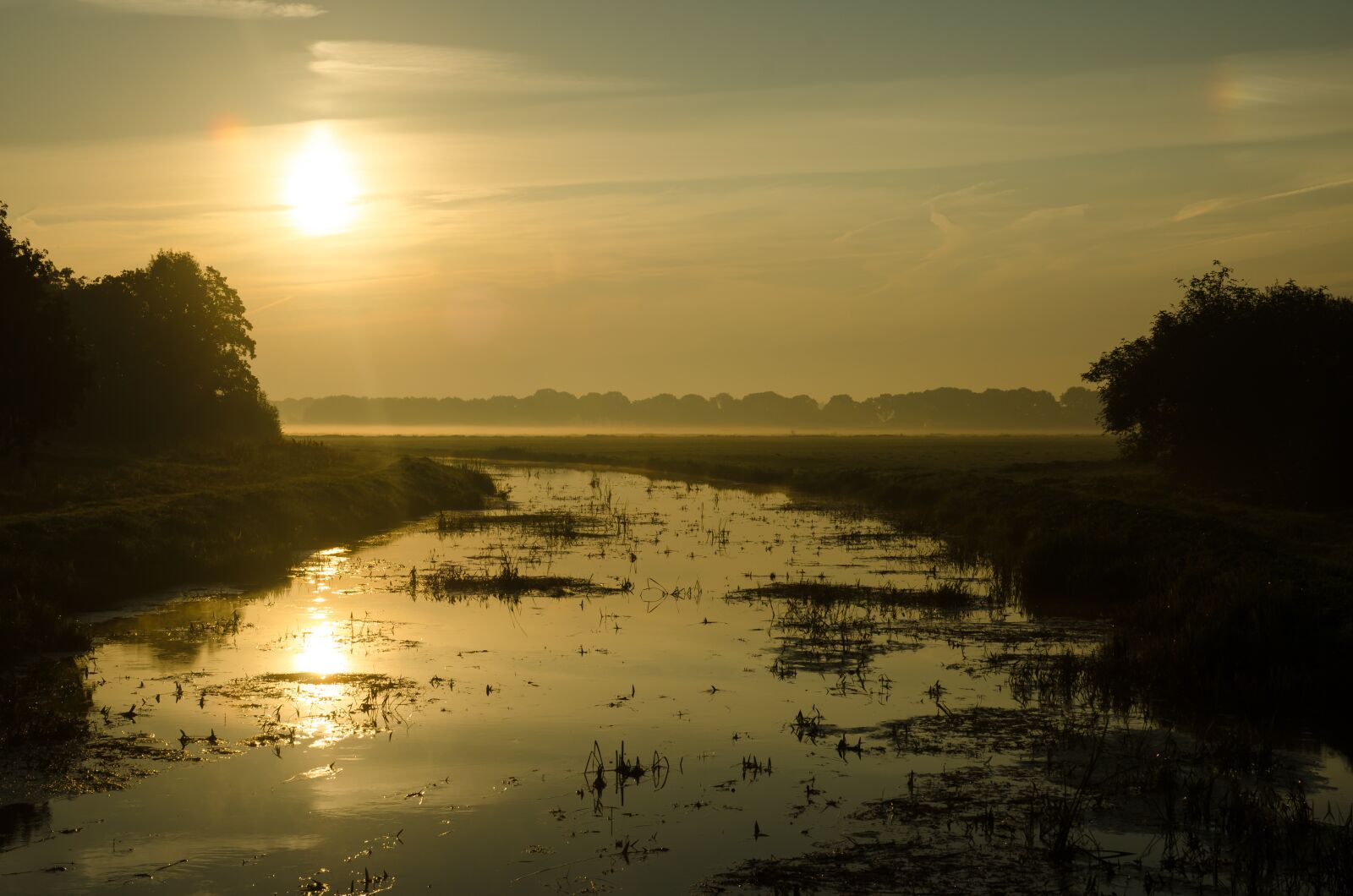 Nikon D7000 sample photo. Sunshine, morning, sunrise photography