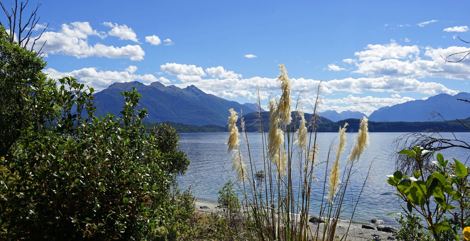 Sony a7 + Sony FE 24-240mm F3.5-6.3 OSS sample photo. Lake, te anau, new photography