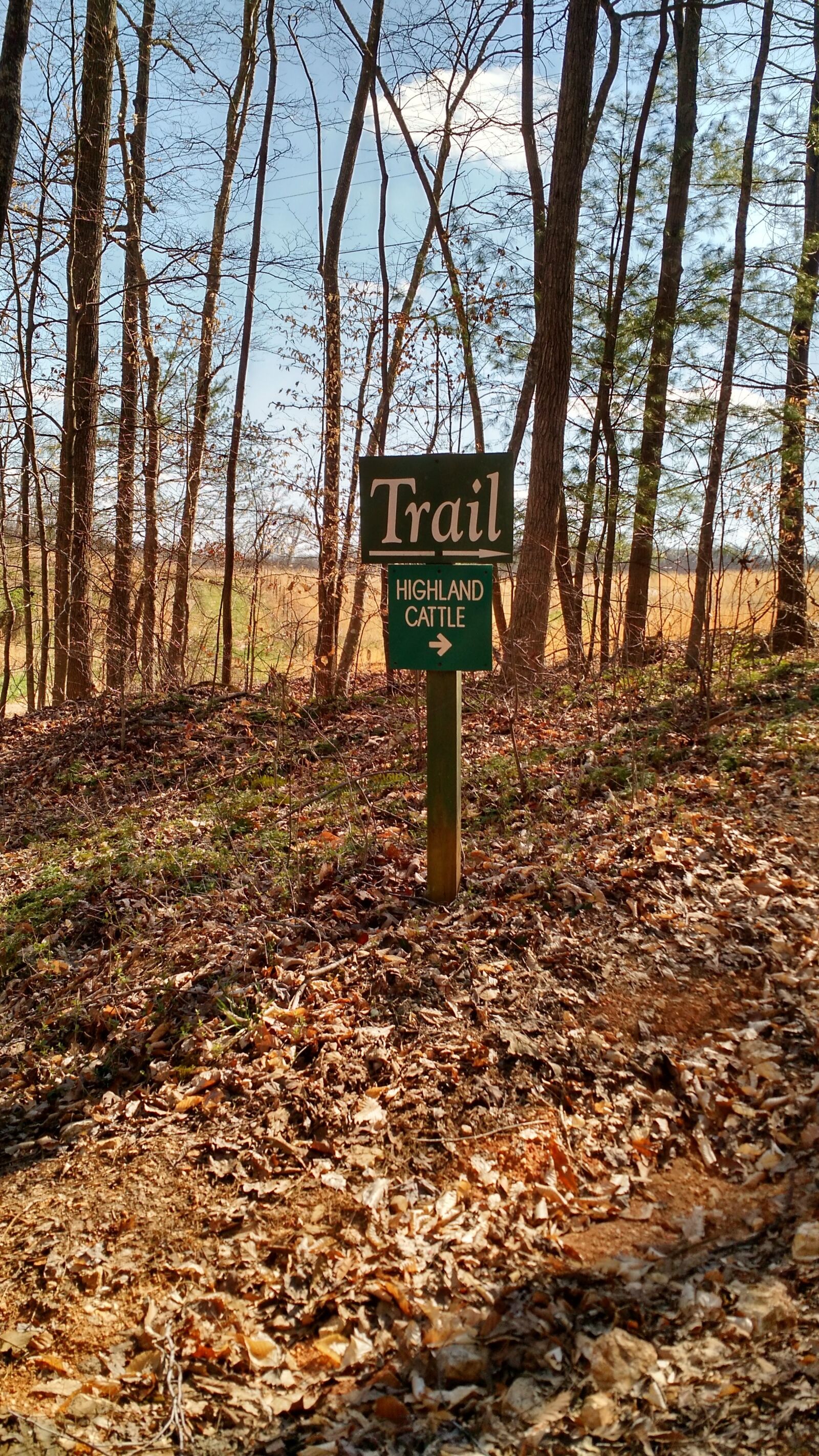 Motorola Moto X (2nd Gen) sample photo. Trail, hiking, tennessee photography