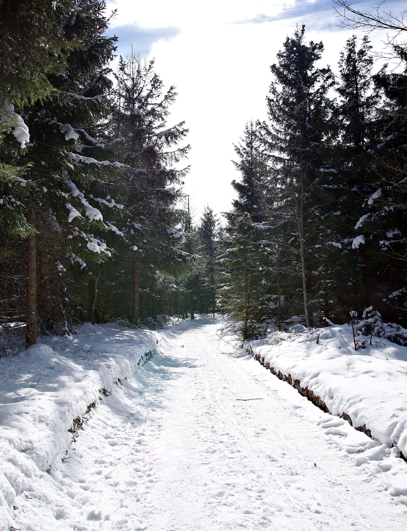 Pentax K-S2 sample photo. Way, the path, snow photography