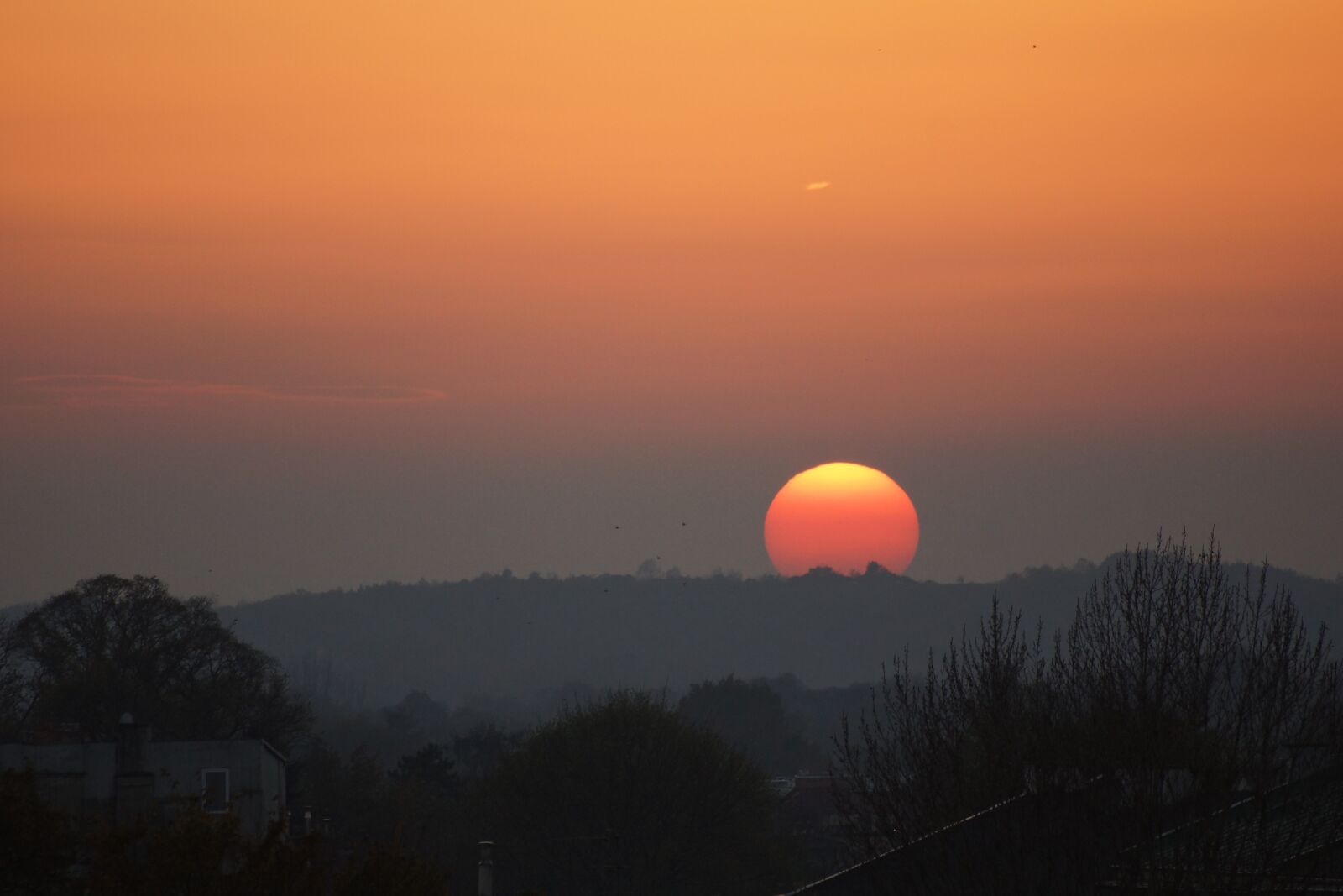 Sony SLT-A65 (SLT-A65V) sample photo. Sunset, nature, orange sky photography