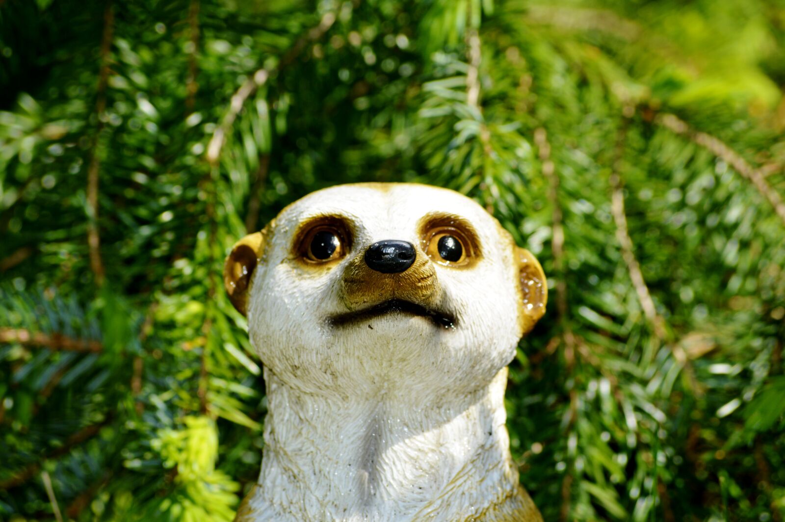 Nikon D3200 sample photo. Meerkat, figure, decoration photography
