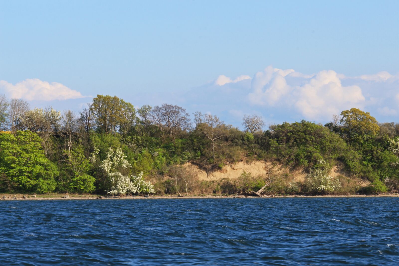 Canon EOS 700D (EOS Rebel T5i / EOS Kiss X7i) sample photo. R gen island, island photography