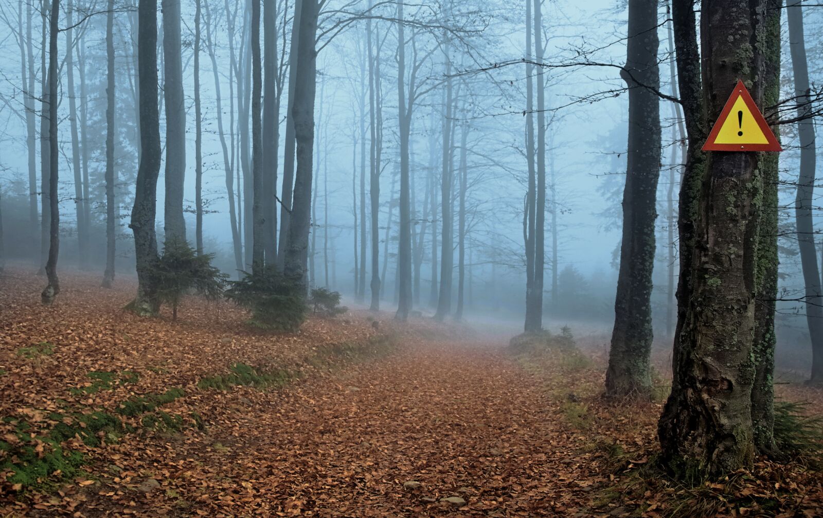 Nikon D90 sample photo. Danger, uncertainty, way photography