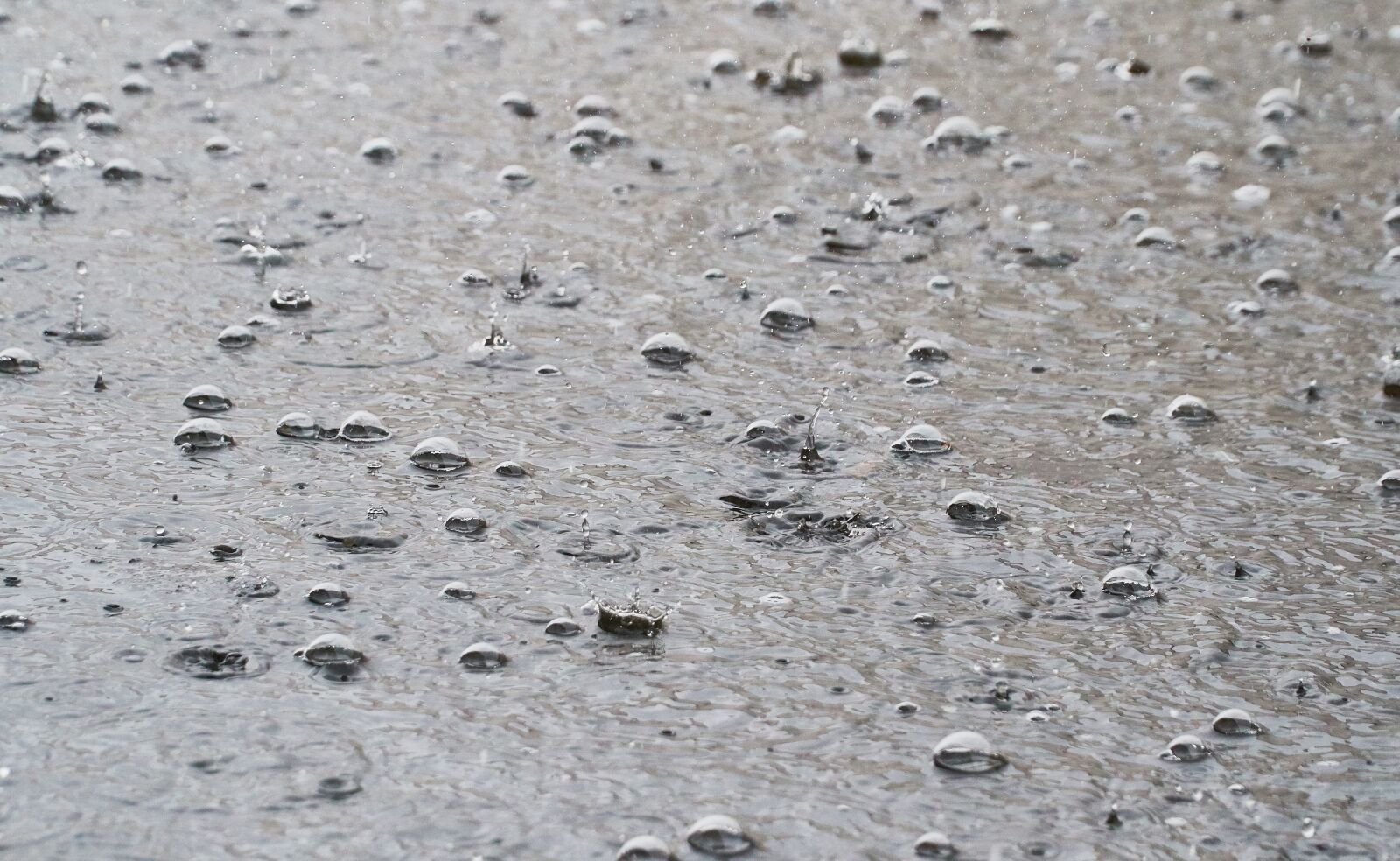 Sony a6300 sample photo. Rain, water, nature photography