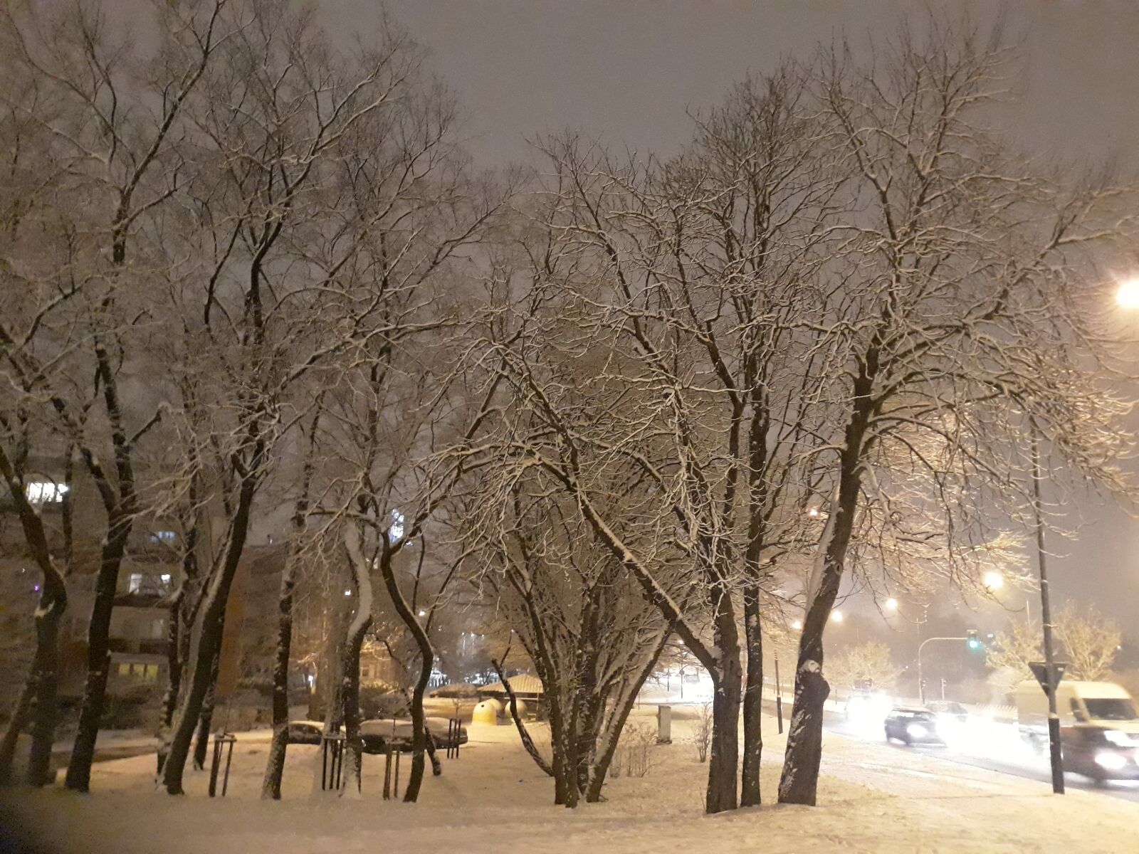 Samsung Galaxy J5 sample photo. Zima, pejzaż, drzewa photography