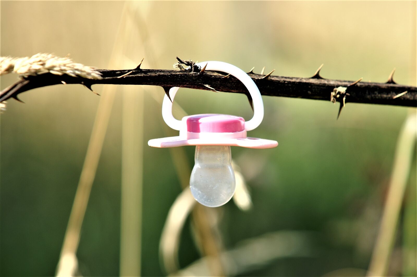 KONICA MINOLTA DYNAX 7D sample photo. Pacifier, nuggi, lollipop photography