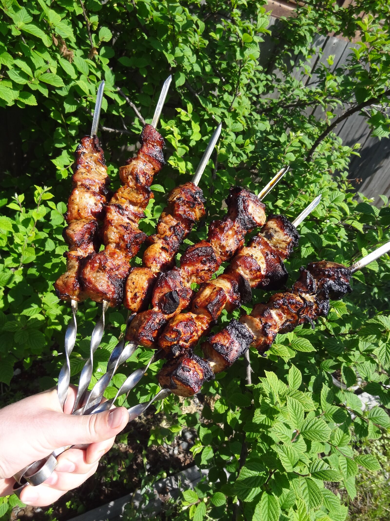 Sony Cyber-shot DSC-HX9V sample photo. Shish kebab, shashlik, kebab photography