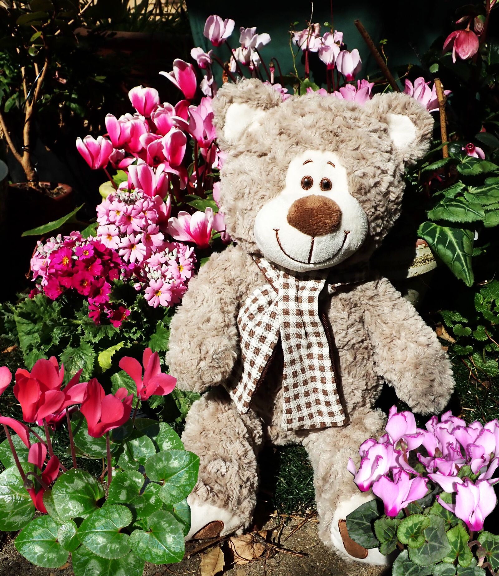 Olympus TG-5 sample photo. Teddy, bear, toy photography