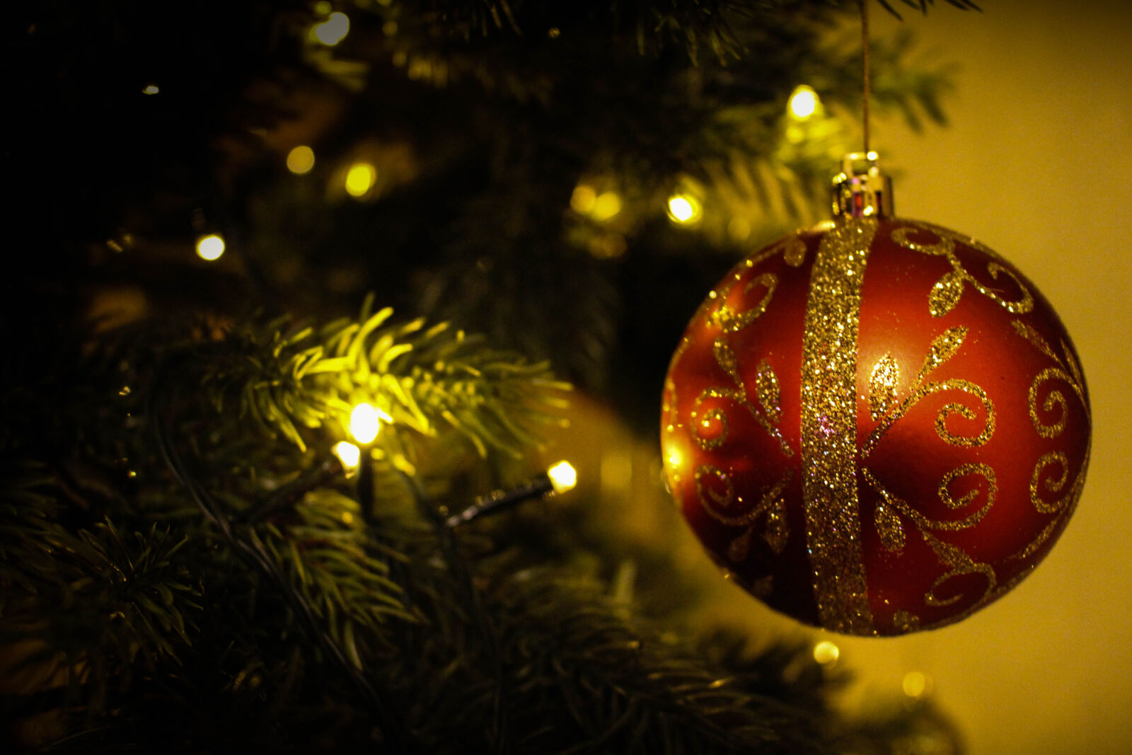 Canon EOS 700D (EOS Rebel T5i / EOS Kiss X7i) sample photo. Ball, blur, branch, celebration photography