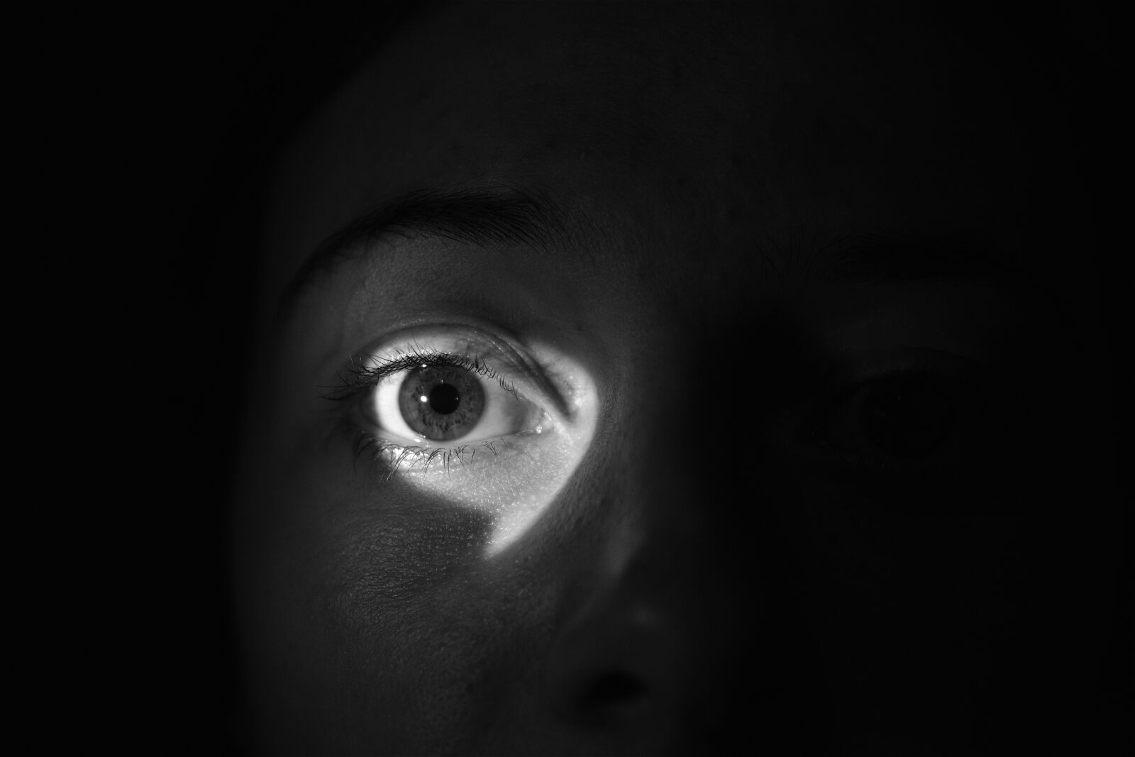 Nikon D5600 sample photo. Eye, light, shadow photography