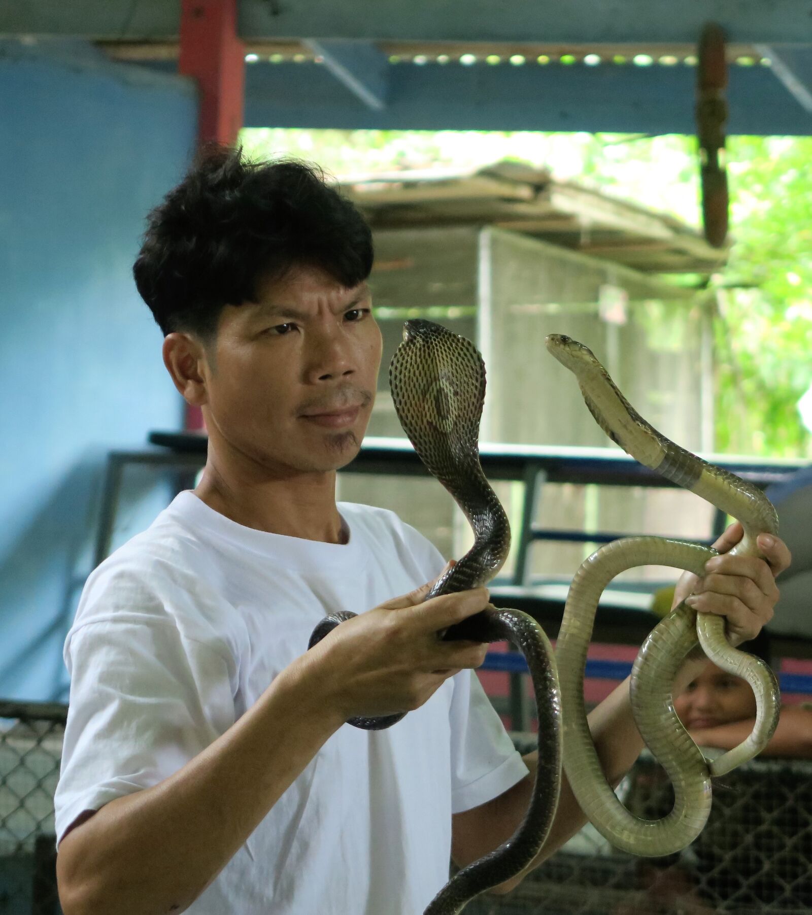 Canon PowerShot G7 X sample photo. Cobra, trainer, snakes photography