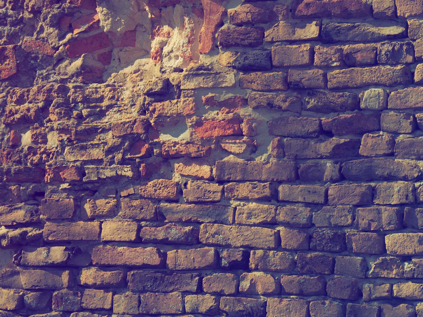 Olympus OM-D E-M10 II sample photo. Brick, wall, rom photography