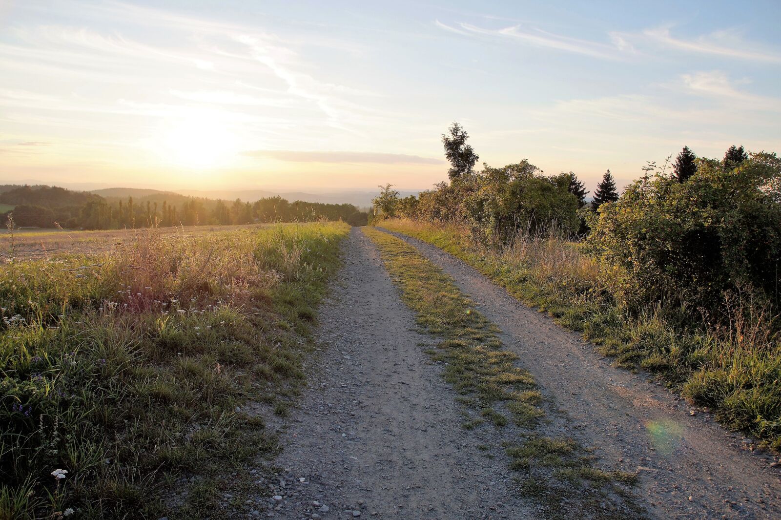 Sony SLT-A58 sample photo. Path, field, landscape photography