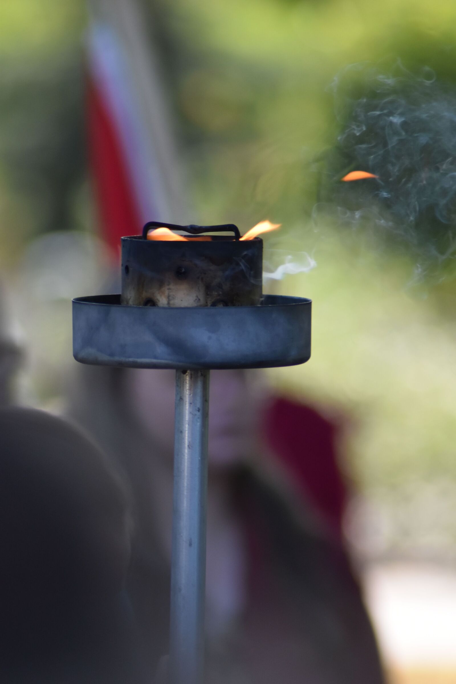 Nikon D3500 sample photo. Torch, fire, freedom photography