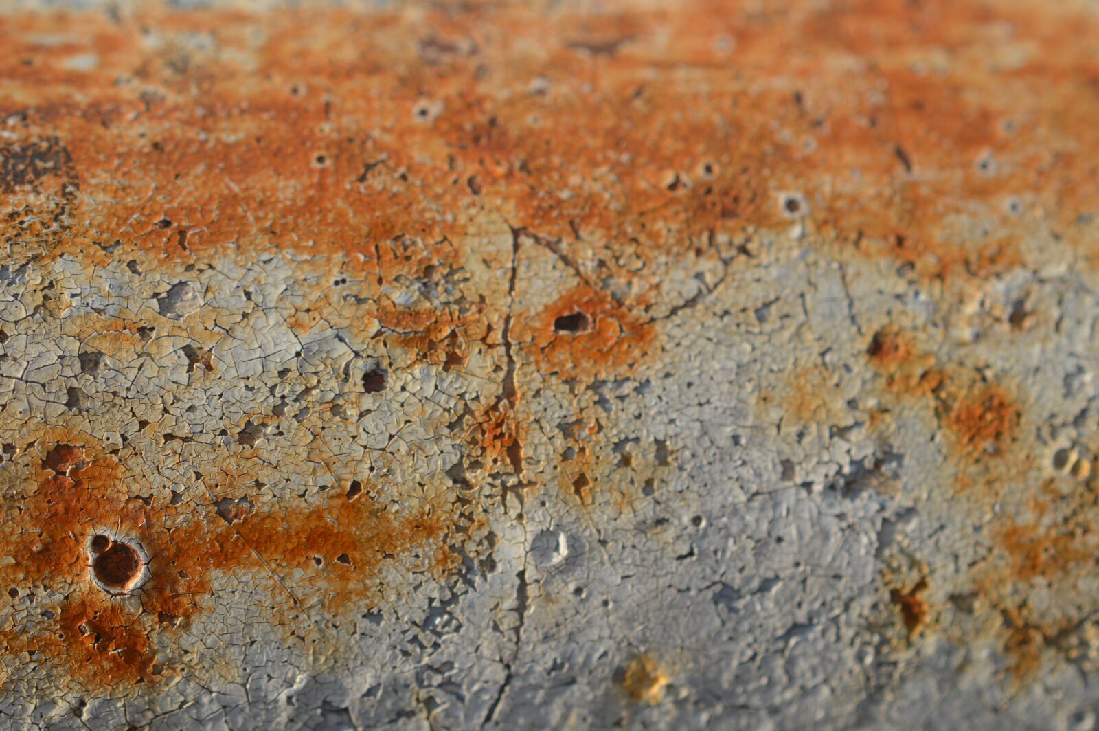 Nikon D3200 sample photo. Textures, texture, wood photography