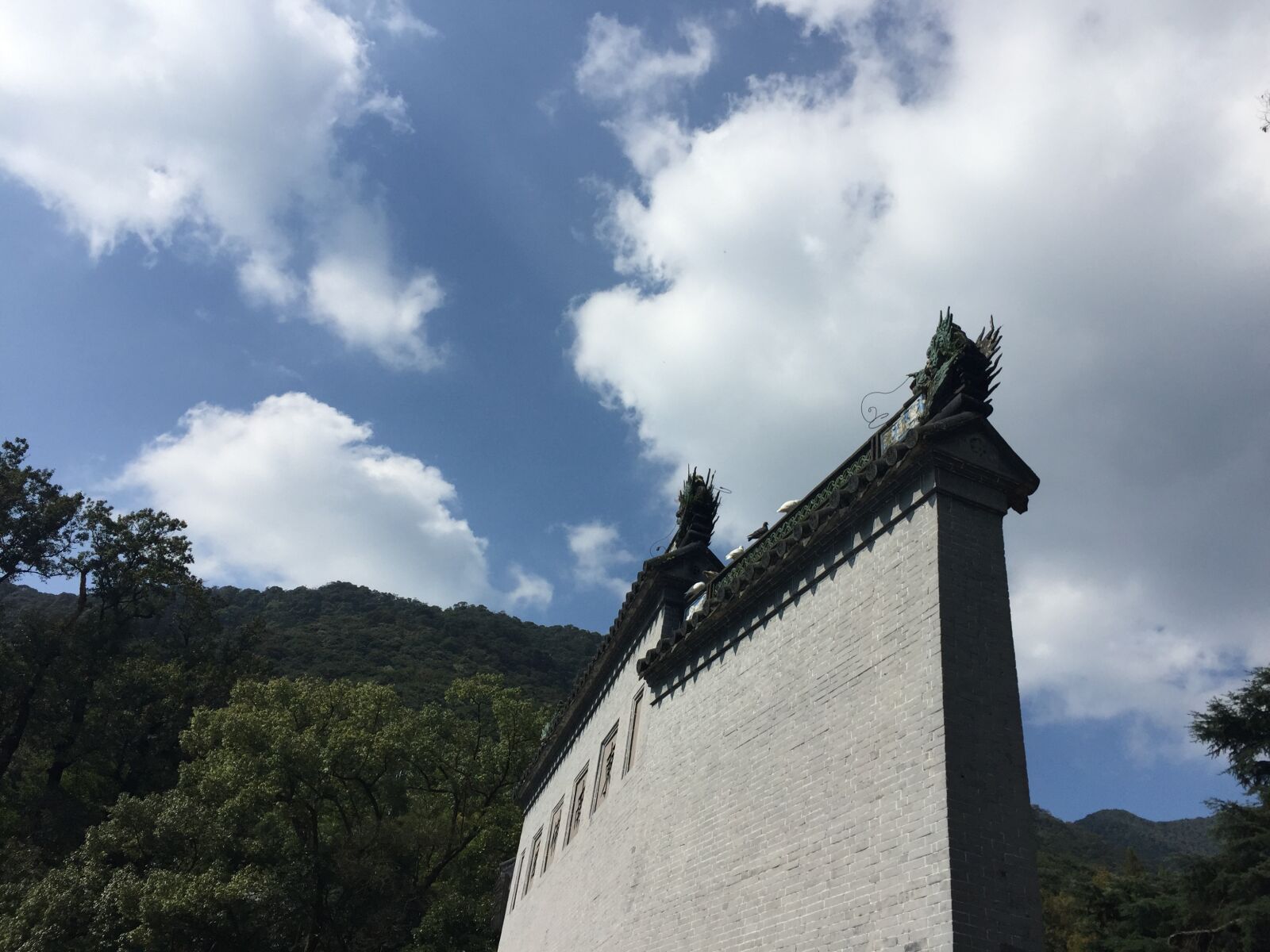 Apple iPhone 6 sample photo. Pigeon, sky, mountain photography