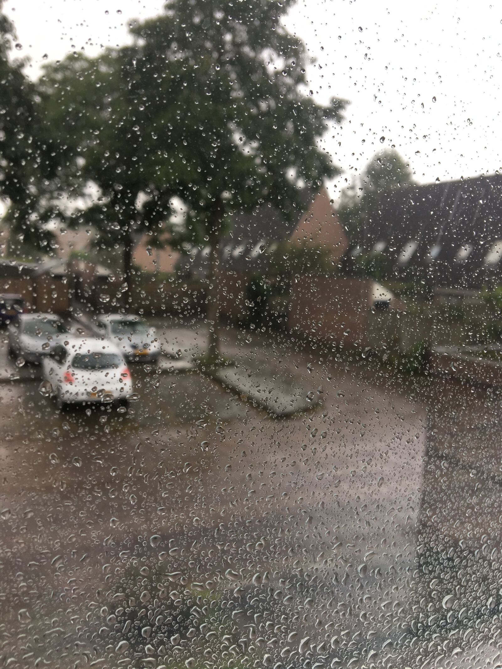 Apple iPhone 6s sample photo. Netherlands, rain, rain, drops photography