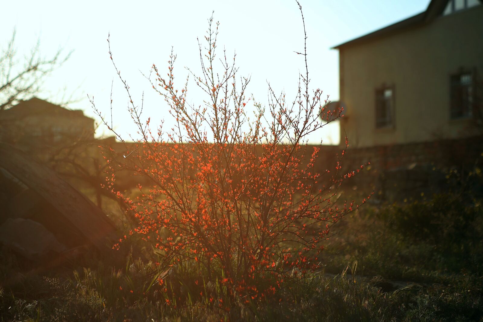 Canon EOS 6D sample photo