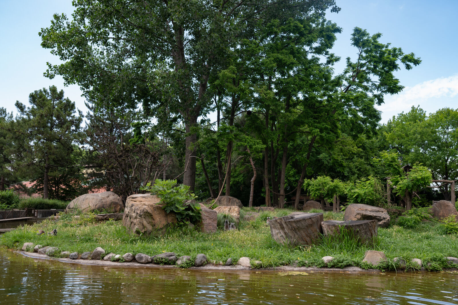 Nikon Z6 sample photo