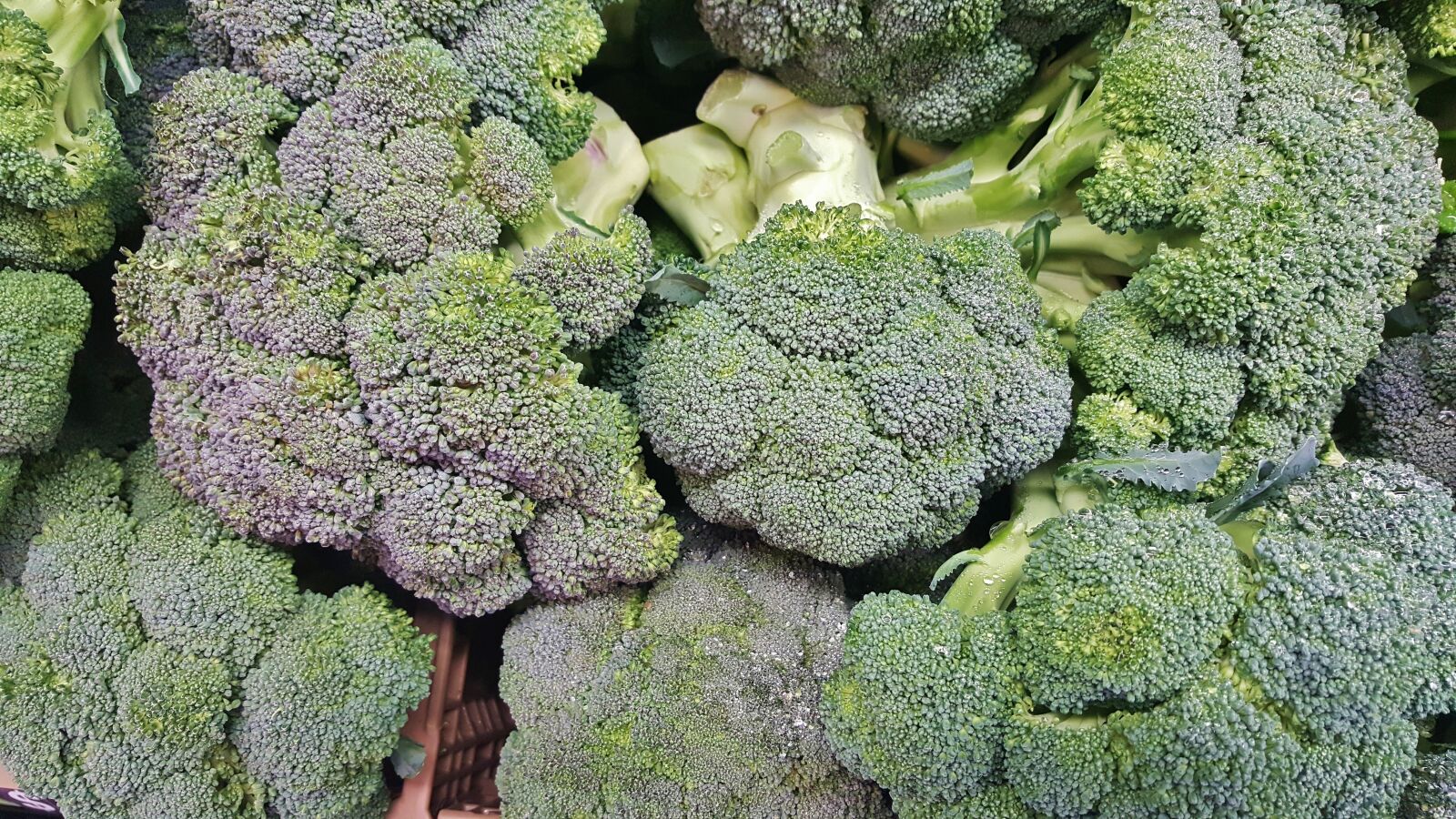 Samsung Galaxy Note5 sample photo. Broccoli, vegetables, greens photography