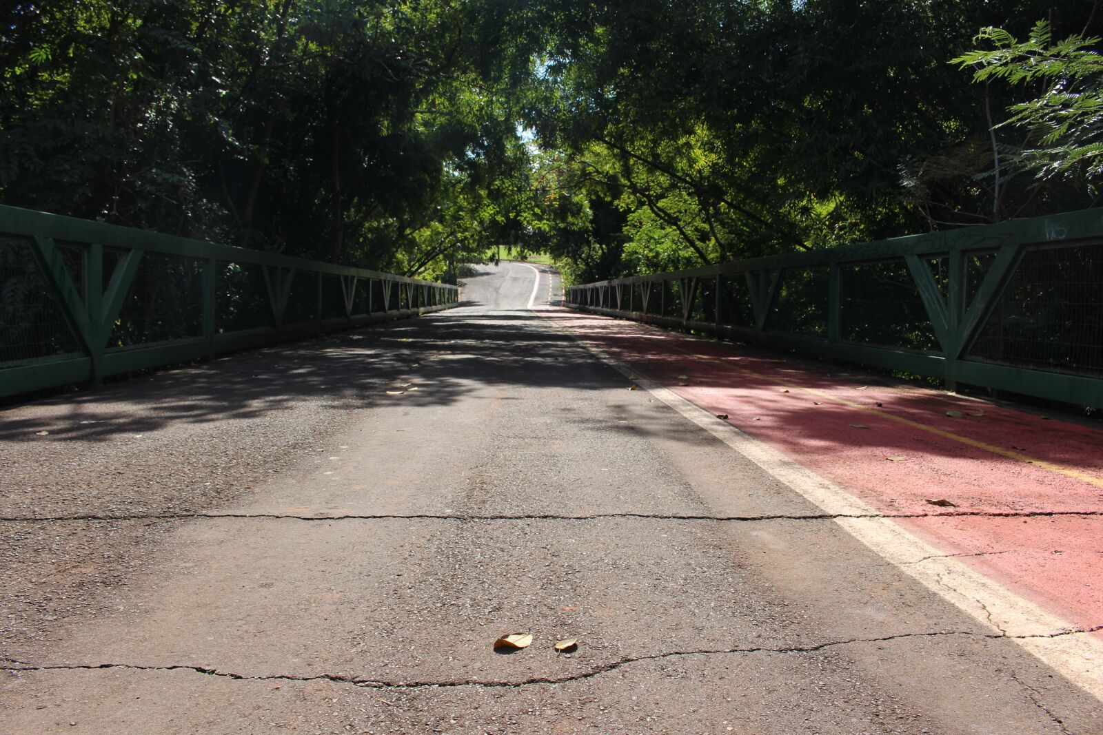 Canon EOS 700D (EOS Rebel T5i / EOS Kiss X7i) sample photo. Park, cycling, bike path photography