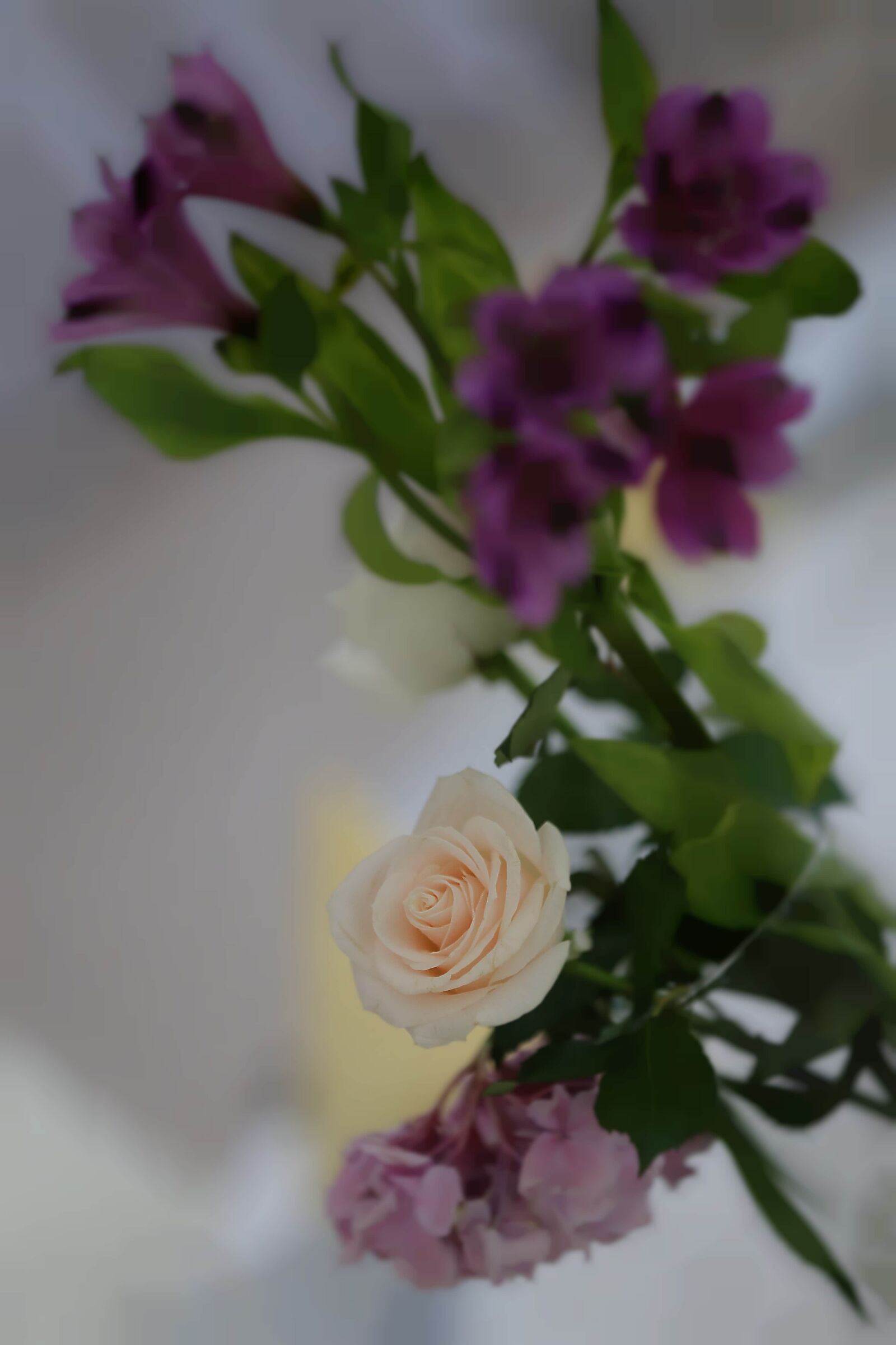 Canon EF 70-200mm F2.8L IS II USM sample photo. Vase, white flower, blurry photography